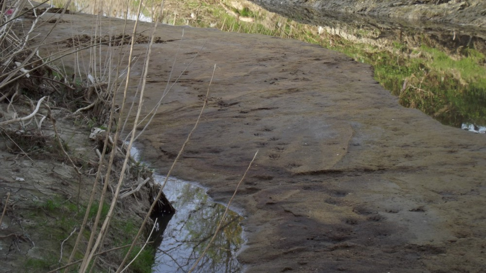 Liquami nel Tidone, puzza e problemi ambientali. Multata una azienda agricola