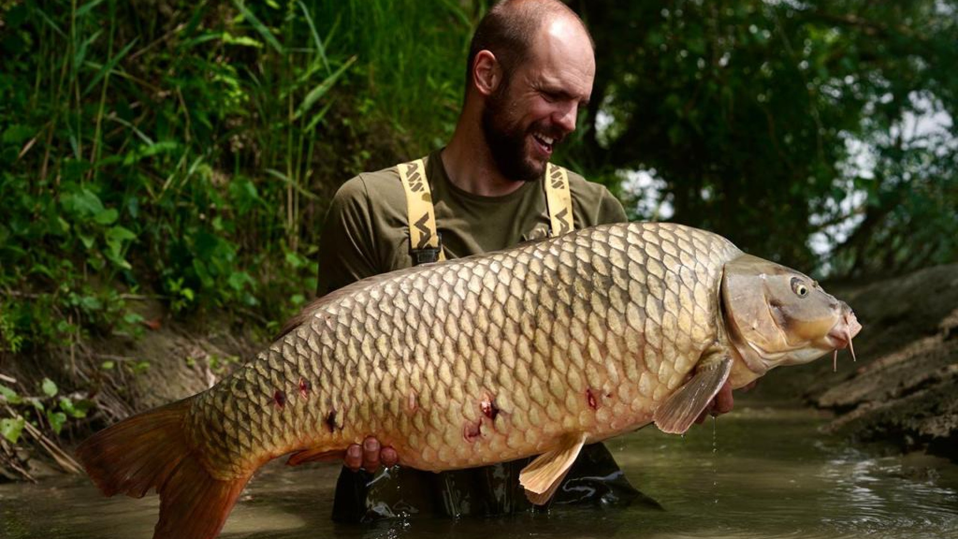 Carpa da record pescata dal piacentino Filippo Bulla: "Quasi 25 chili"