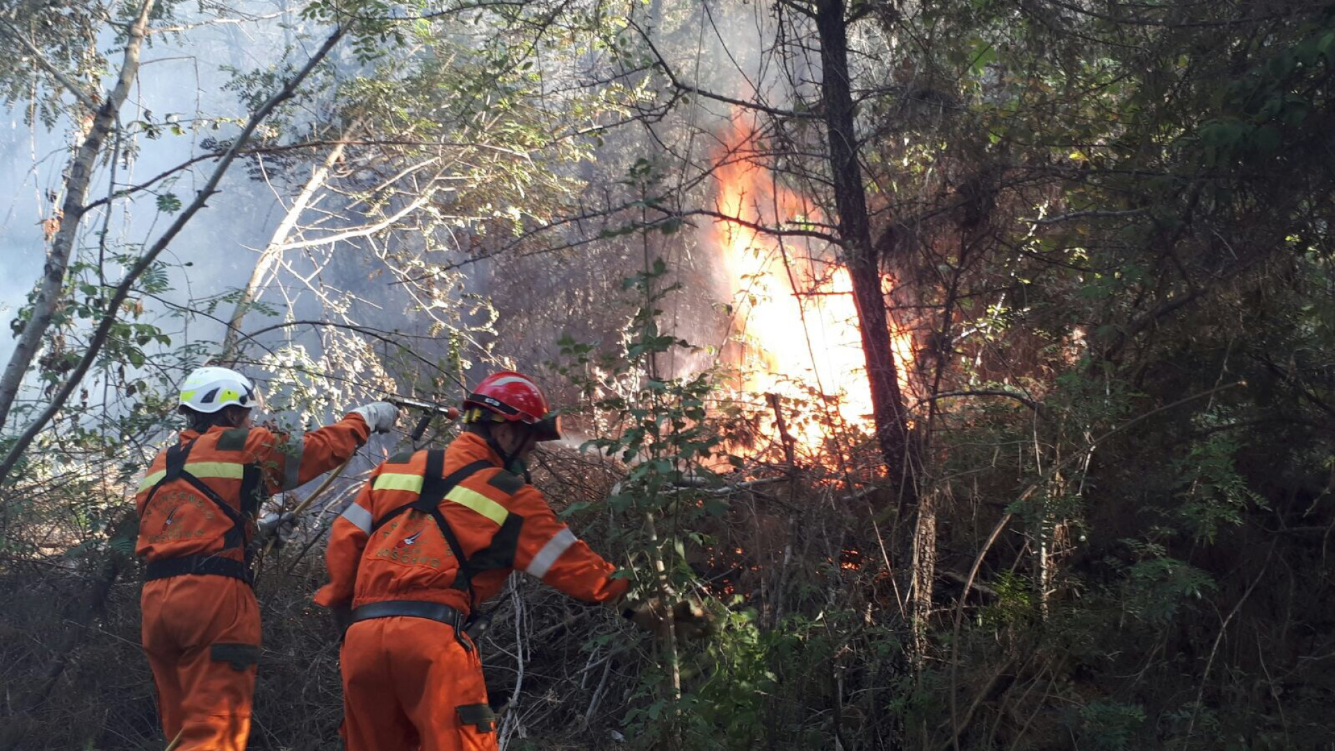 Incendi, nuovo elicottero. Dal 30 luglio volontari in servizio ogni giorno