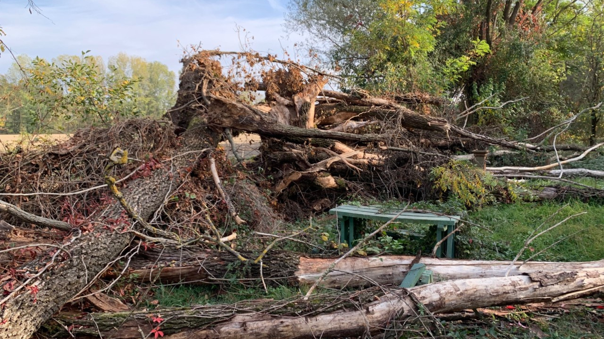 Foce Trebbia, l'ex area ristoro sempre più degradata: alberi crollati e panchine distrutte