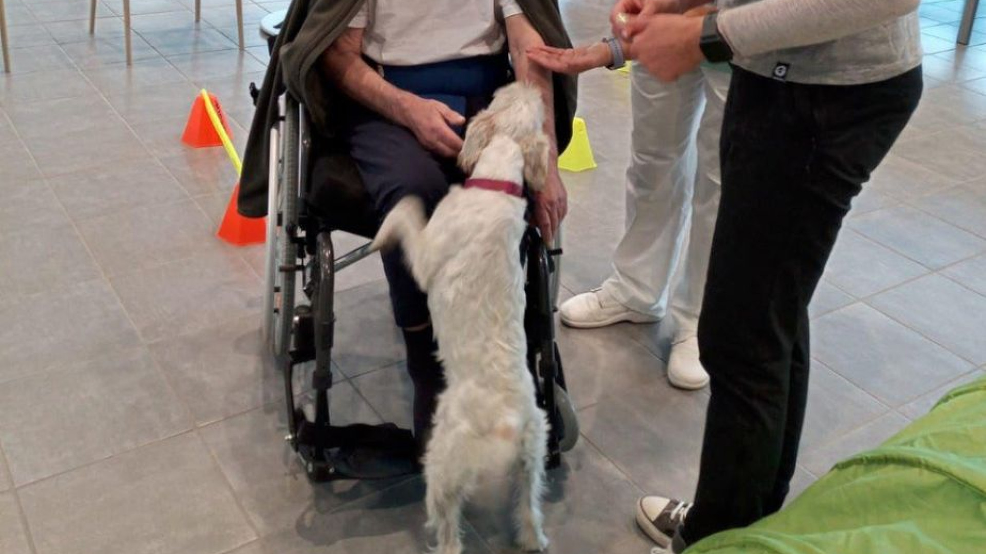 Fiorenzuola, i cani entrano in ospedale: "Aiuto per cure e riabilitazione"