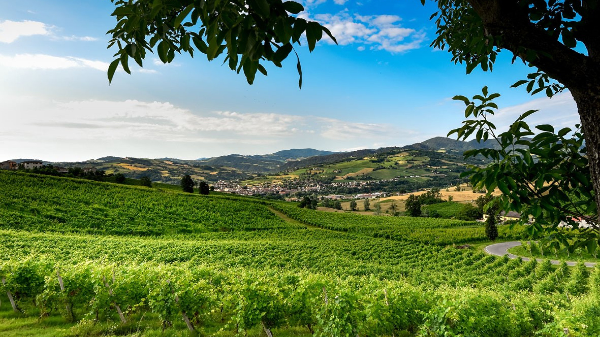 A settembre ritorna il Valtidone Wine Fest per celebrare il territorio