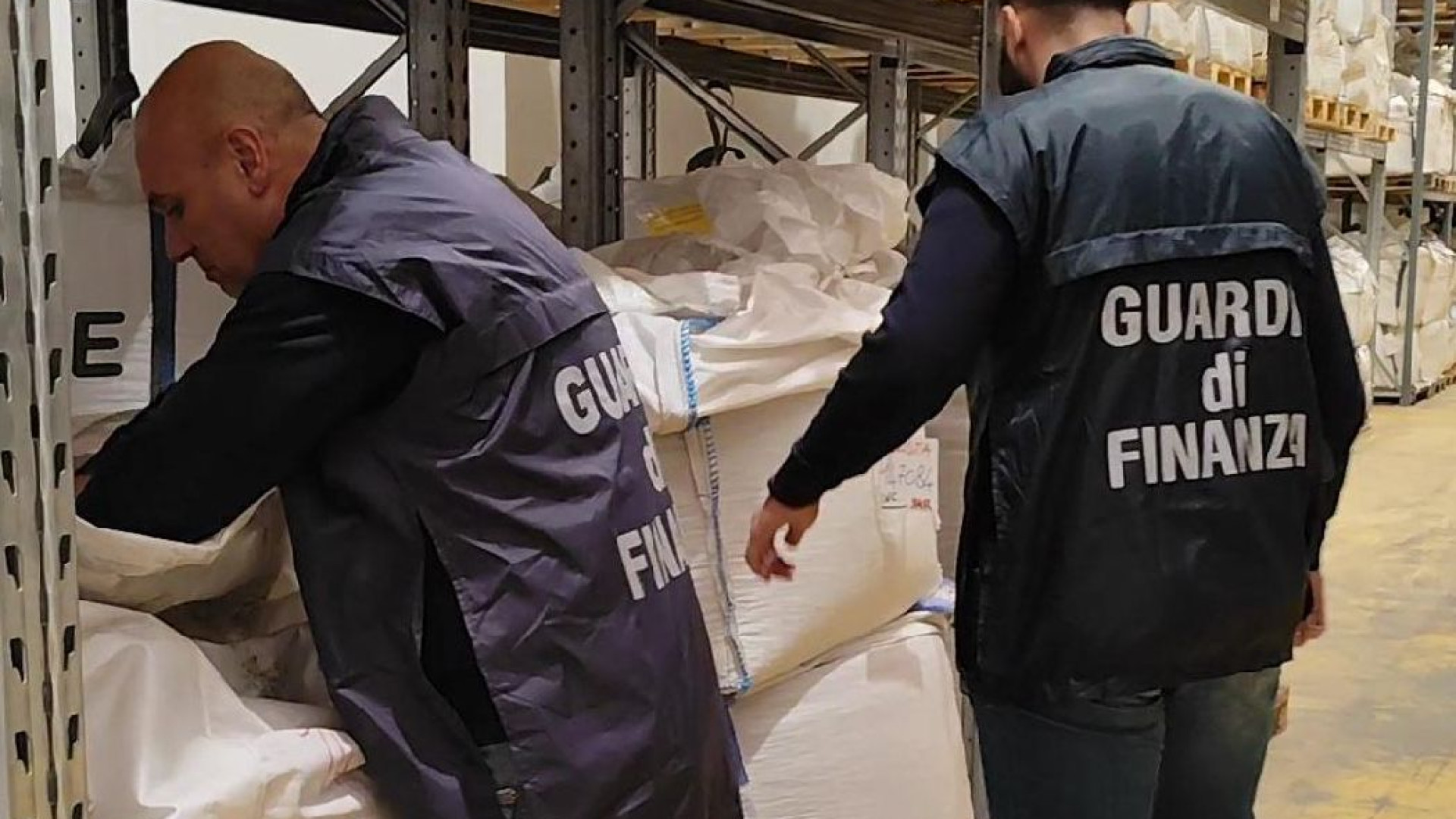 Sementi dall'estero vendute come italiane, maxi sequestro della Finanza