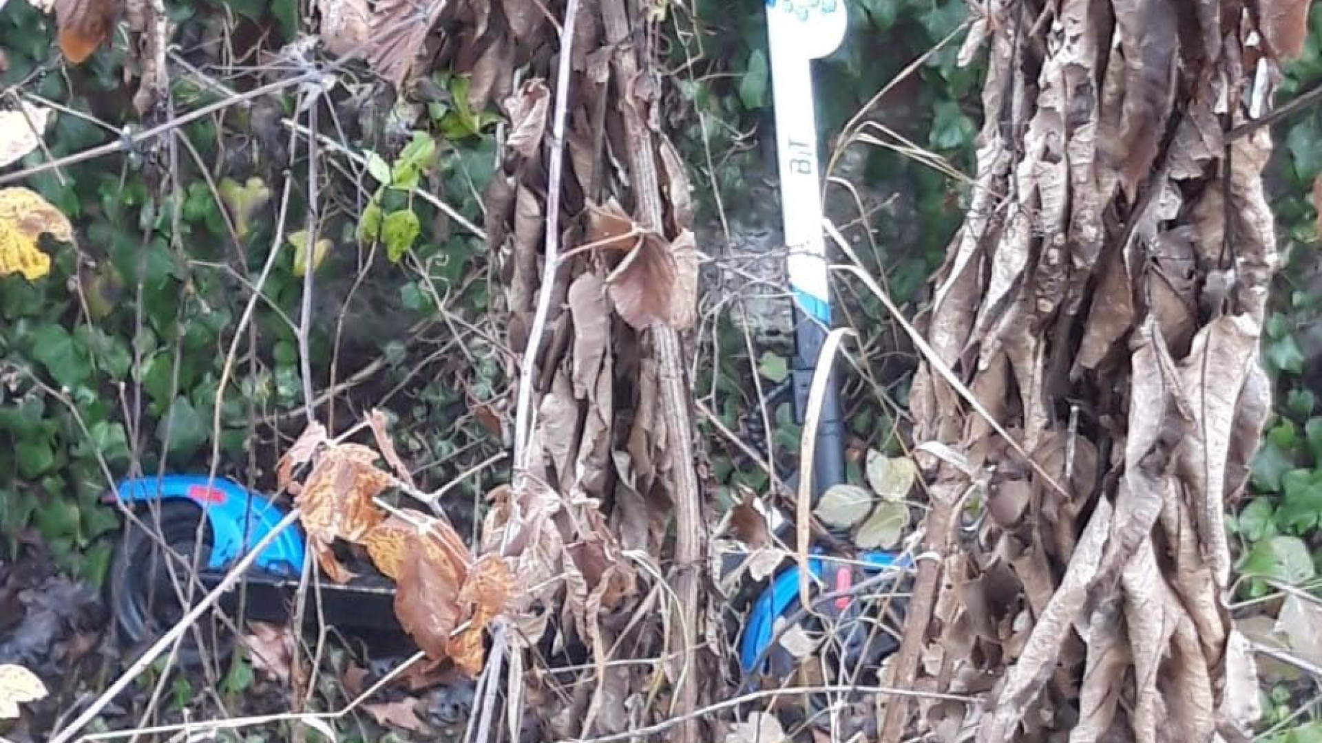 La segnalazione: "Da settimane un monopattino abbandonato in via Tramello"