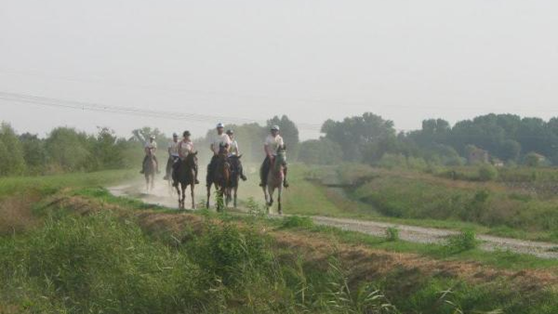 Equitazione: da Piozzano ad Abu Dhabi a caccia del titolo di regina del deserto