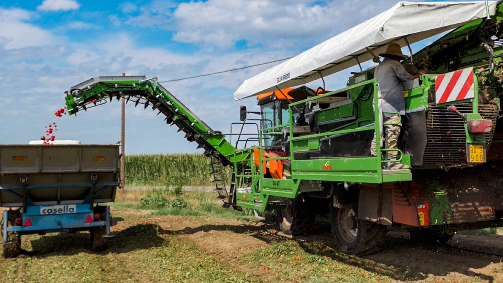 Pomodoro, Coldiretti E-R: "Urgente la sottoscrizione dell’accordo quadro 2022"