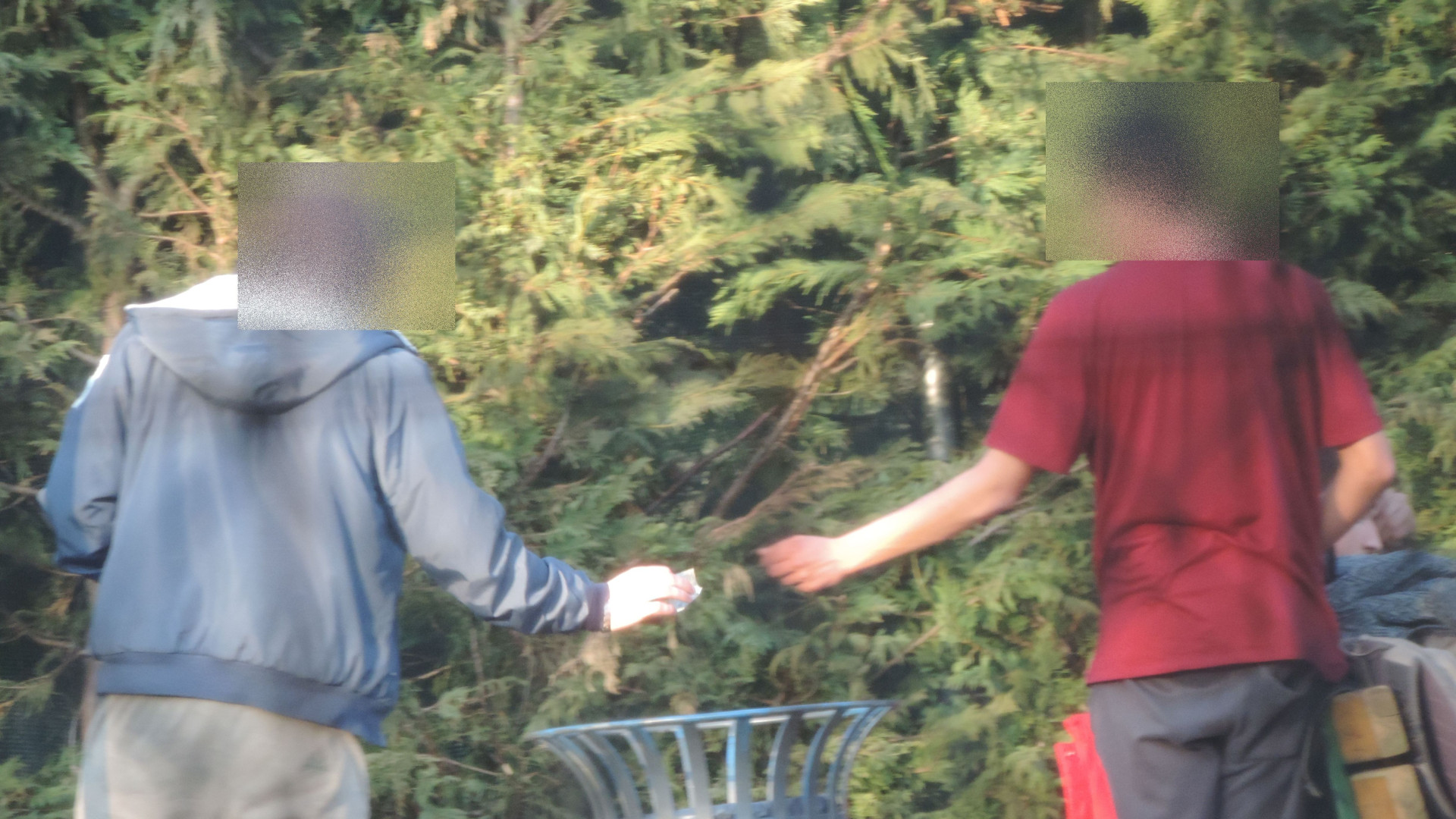 Droga, Piacenza seconda in Italia per assuntori segnalati alla Prefettura