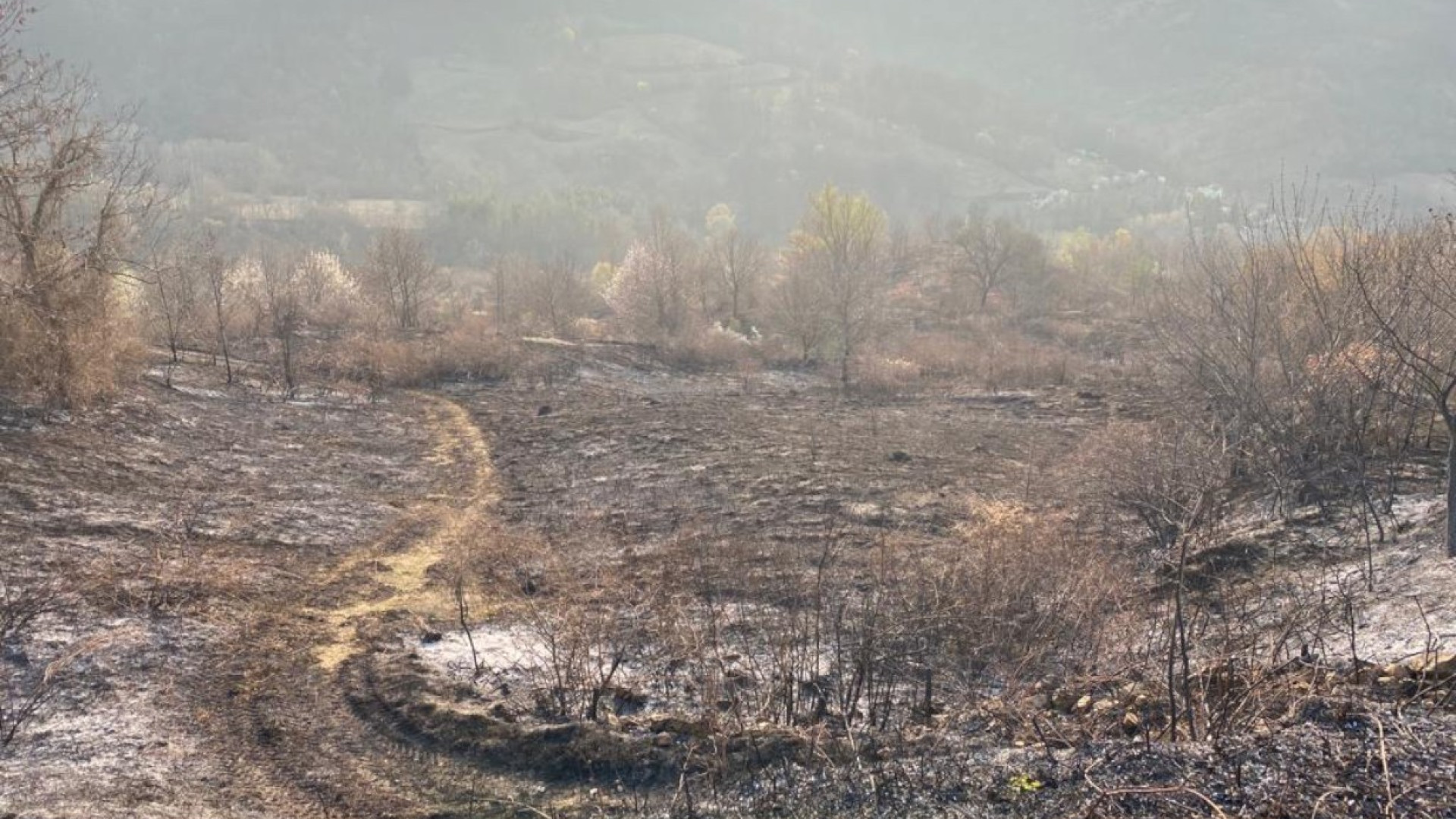 A Cicogni bruciati oltre ottantamila metri quadrati. Ora si spera nella pioggia