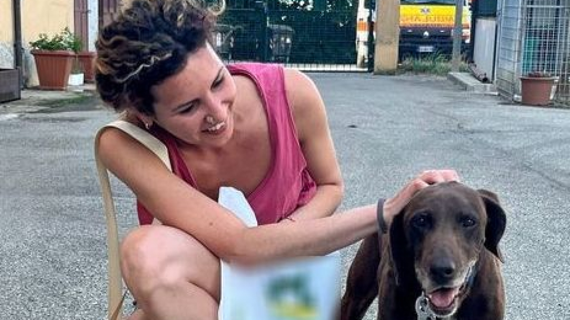 Leo trova famiglia dopo 10 anni di canile. Abbandonati sulla strada due cuccioli