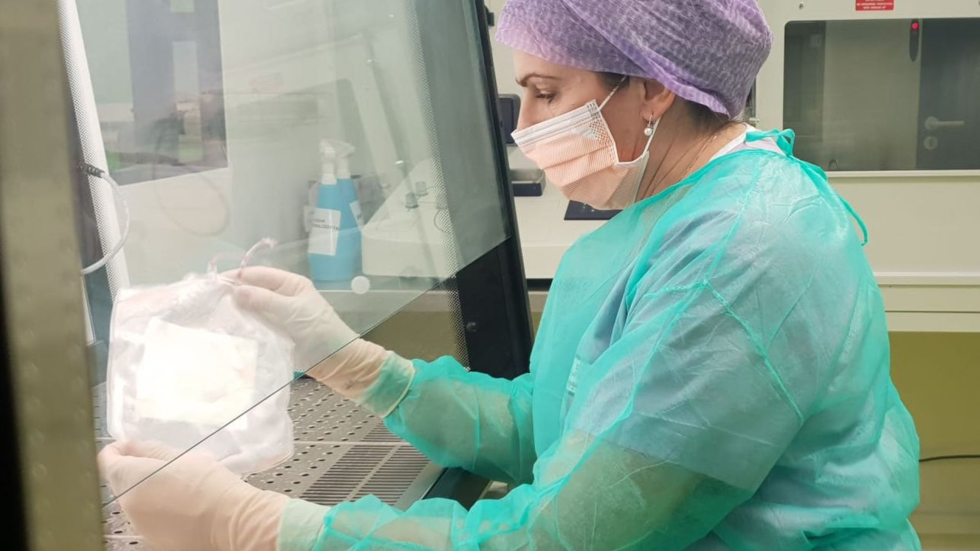 Piacentina malata di leucemia salvata da un donatore trovato negli Stati Uniti