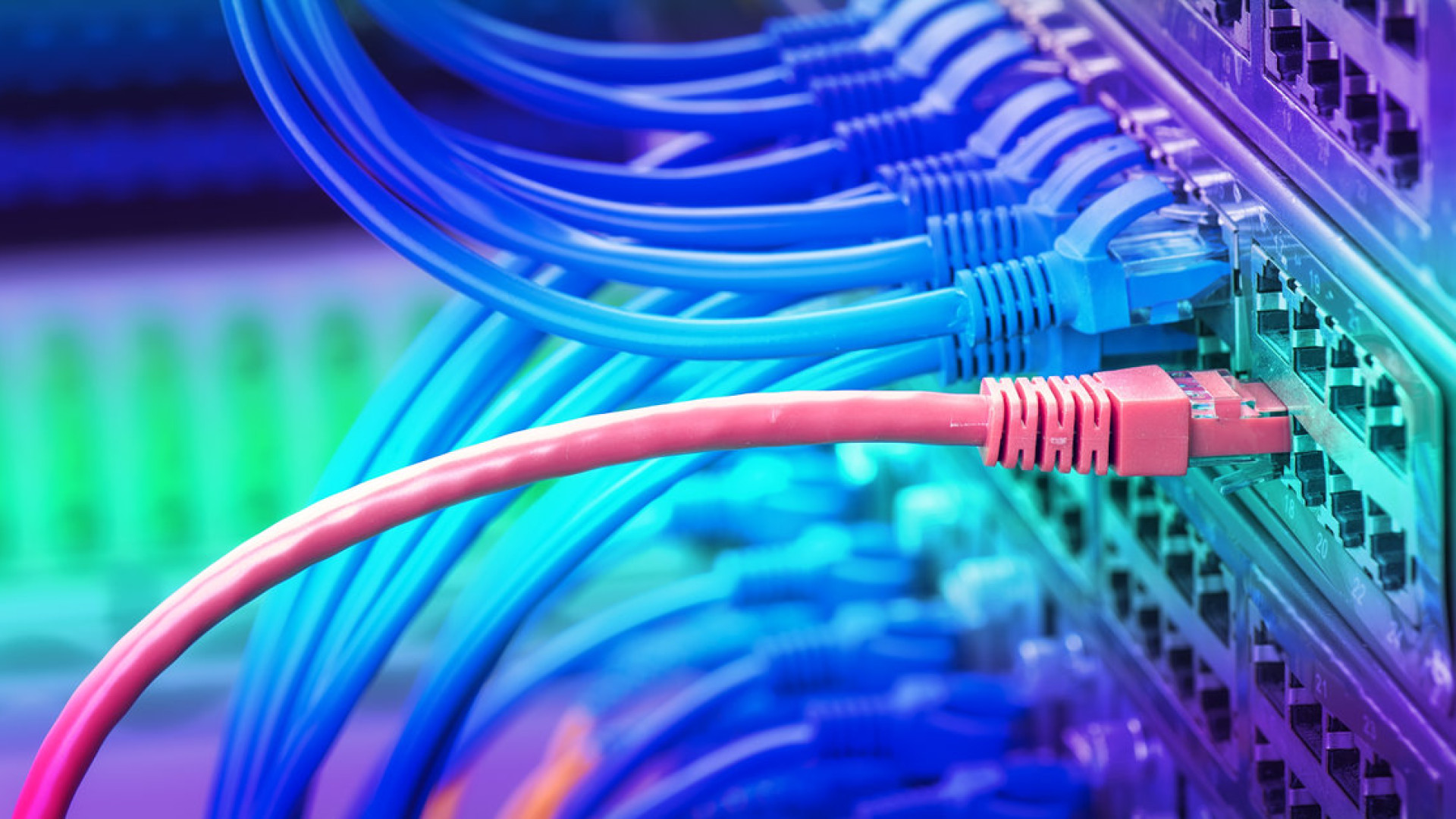 Un milione di milioni di dati al secondo: parte il progetto Terabit per la super rete web