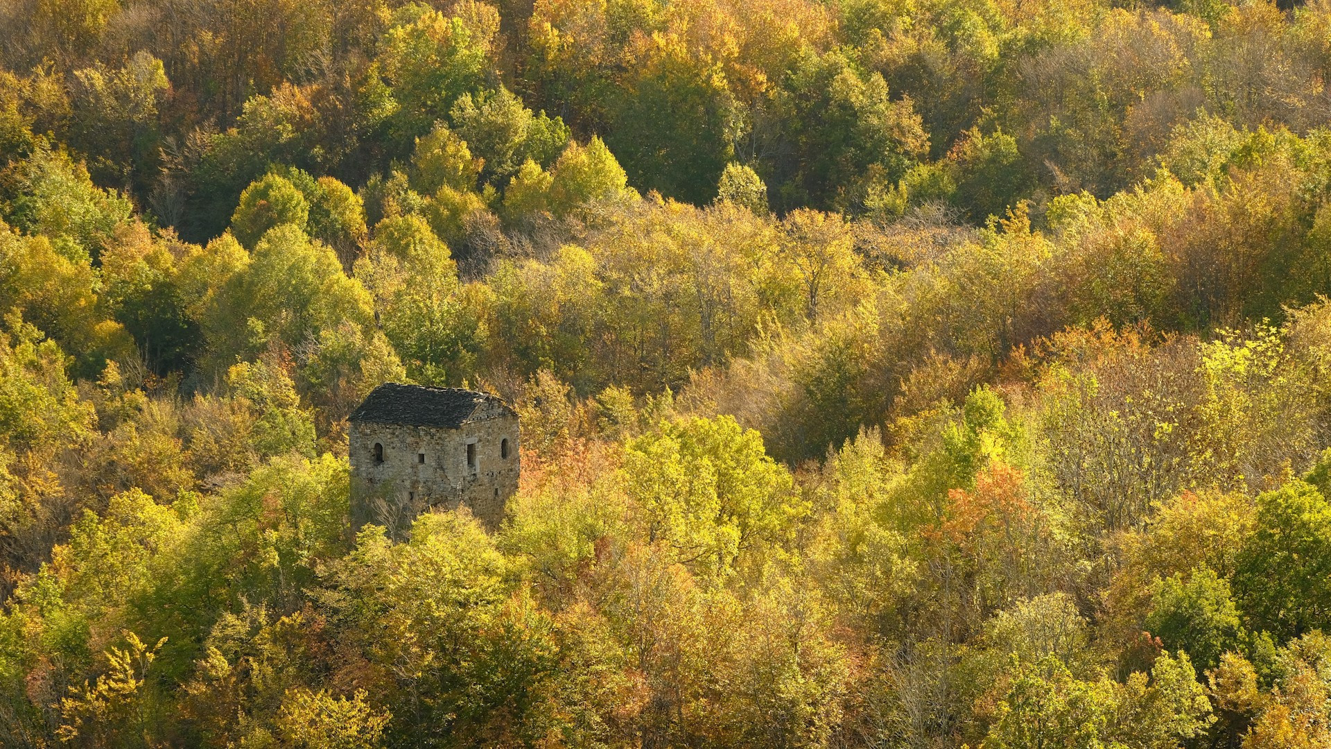 Riparte il viaggio di "Sentieri Piacentini". Prima tappa alla torre di Manfredello