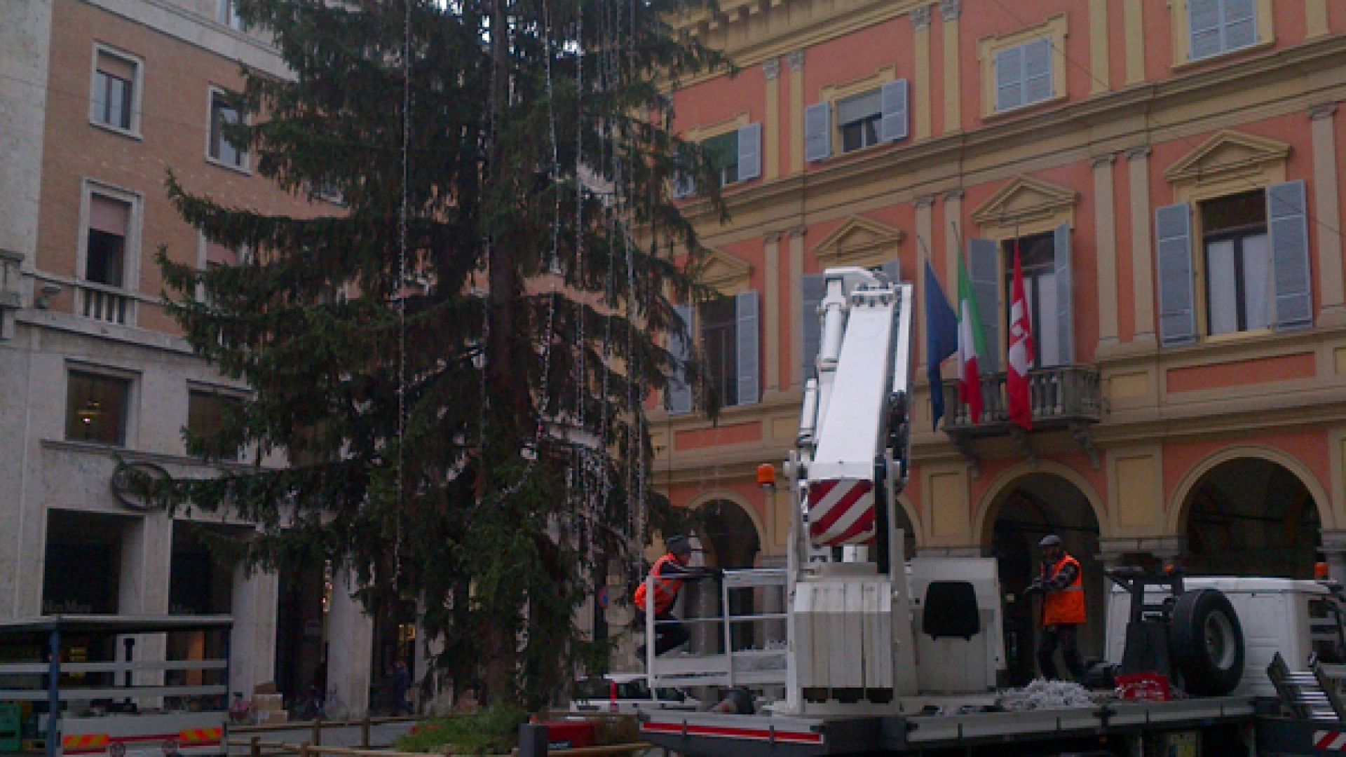Piazza Cavalli, iniziato l'allestimento dell'albero di Natale