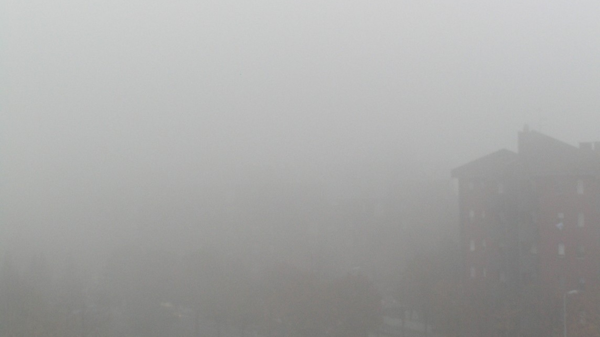 Maltempo: nebbia fitta in città e provincia ancora per una settimana