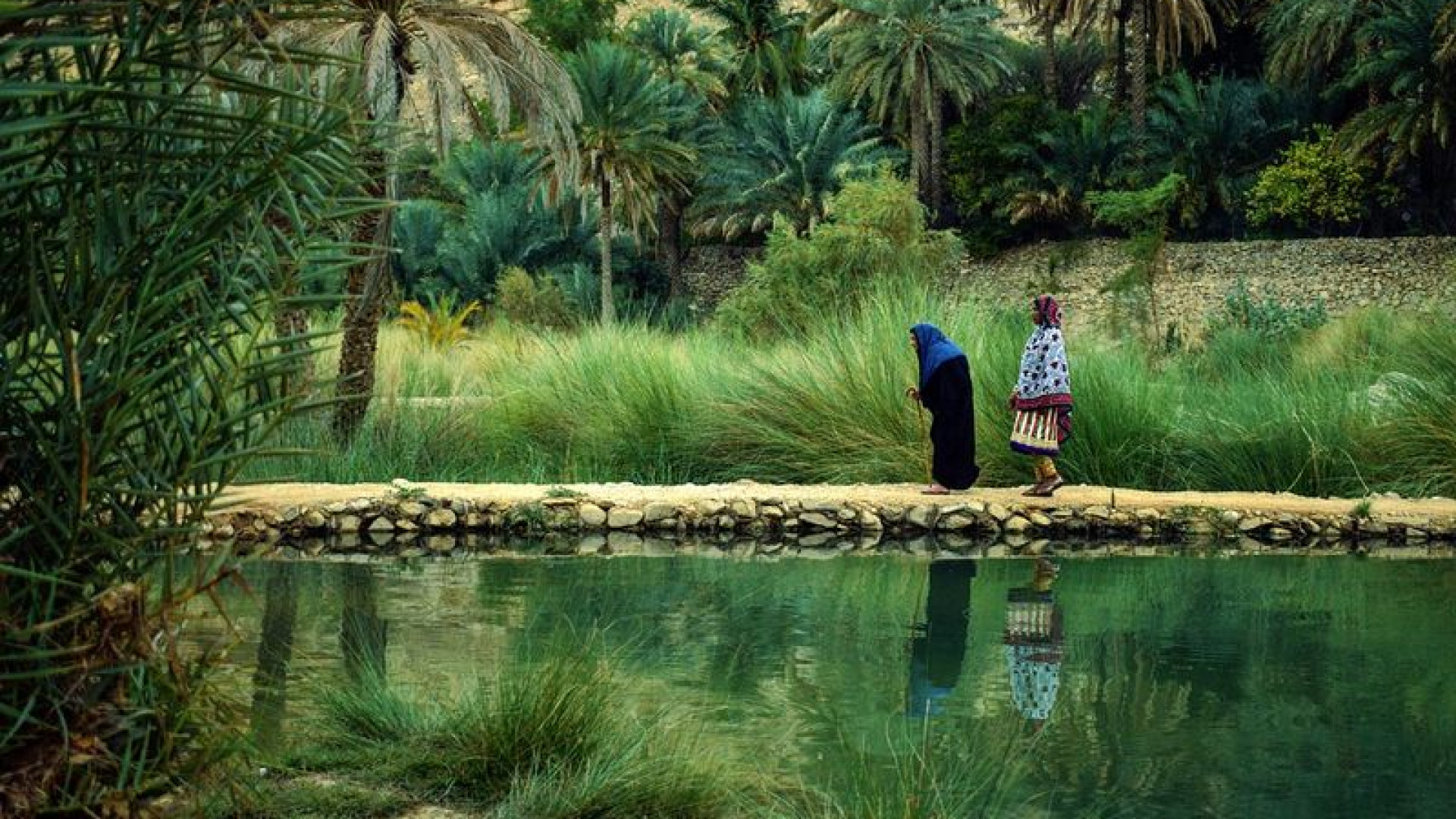 I piacentini hanno scelto l'Oman e i gorilla dell'Uganda