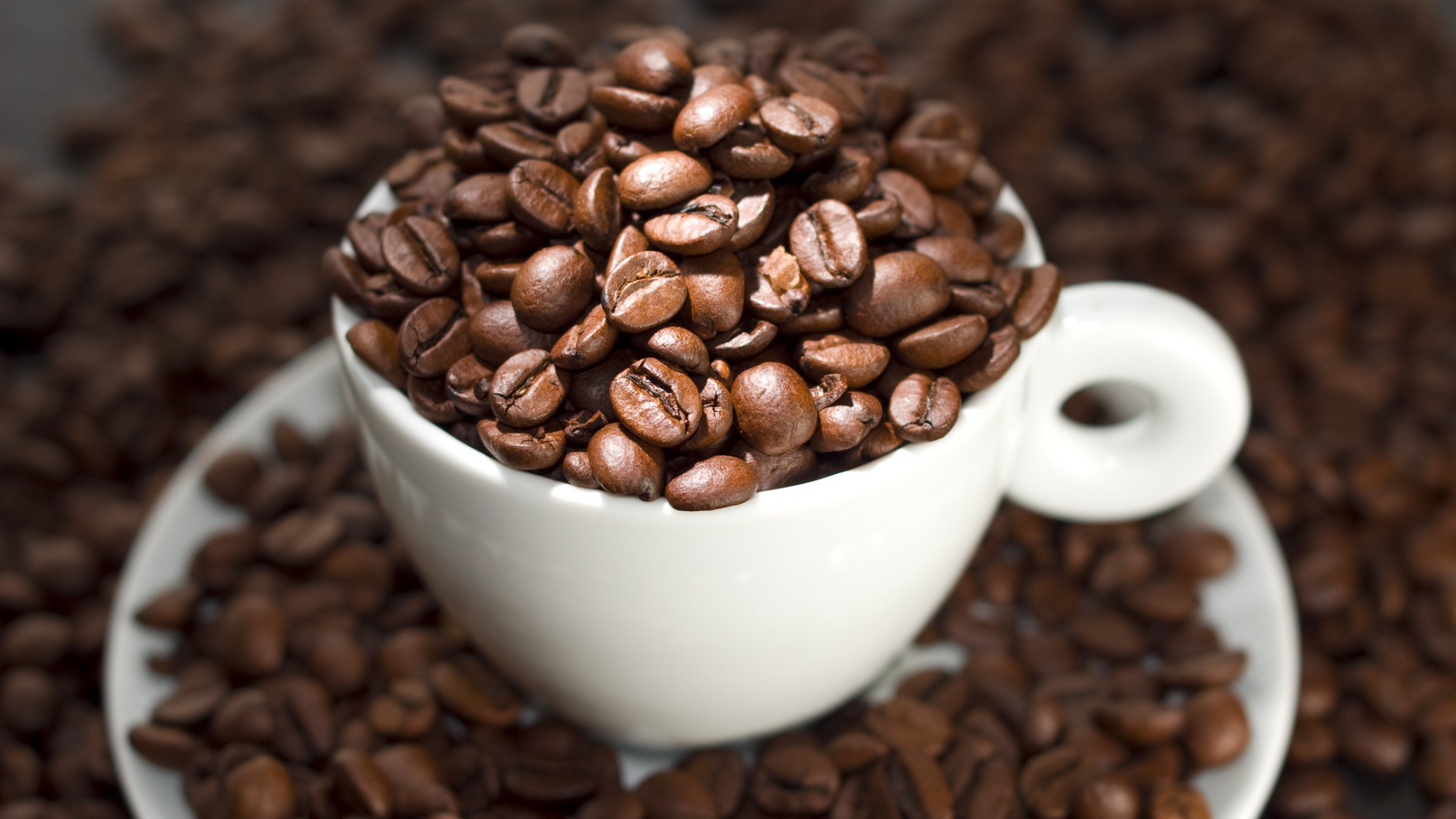 Domani gara nazionale di "Cup Tasting" alla torrefazione Musetti