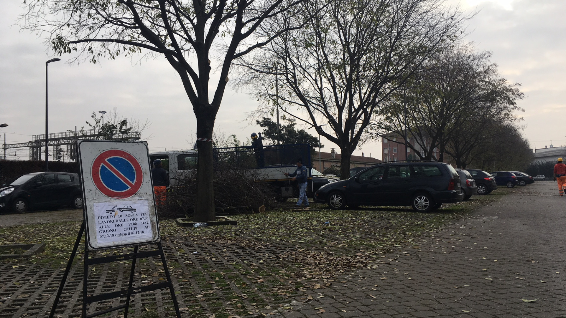 Divieto di sosta per potatura piante: pendolari infuriati. Mancioppi: "Urgente per ragioni di sicurezza"