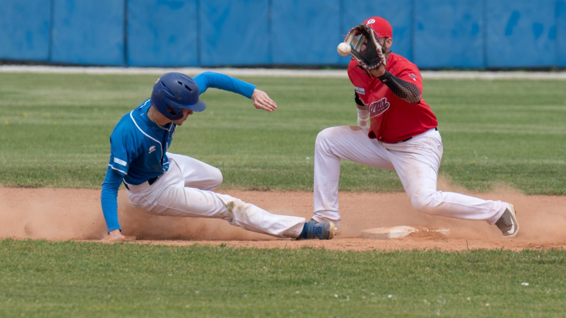 Baseball, il derby del Ducato è di Piacenza: sconfitta Parma, ora è terzo posto