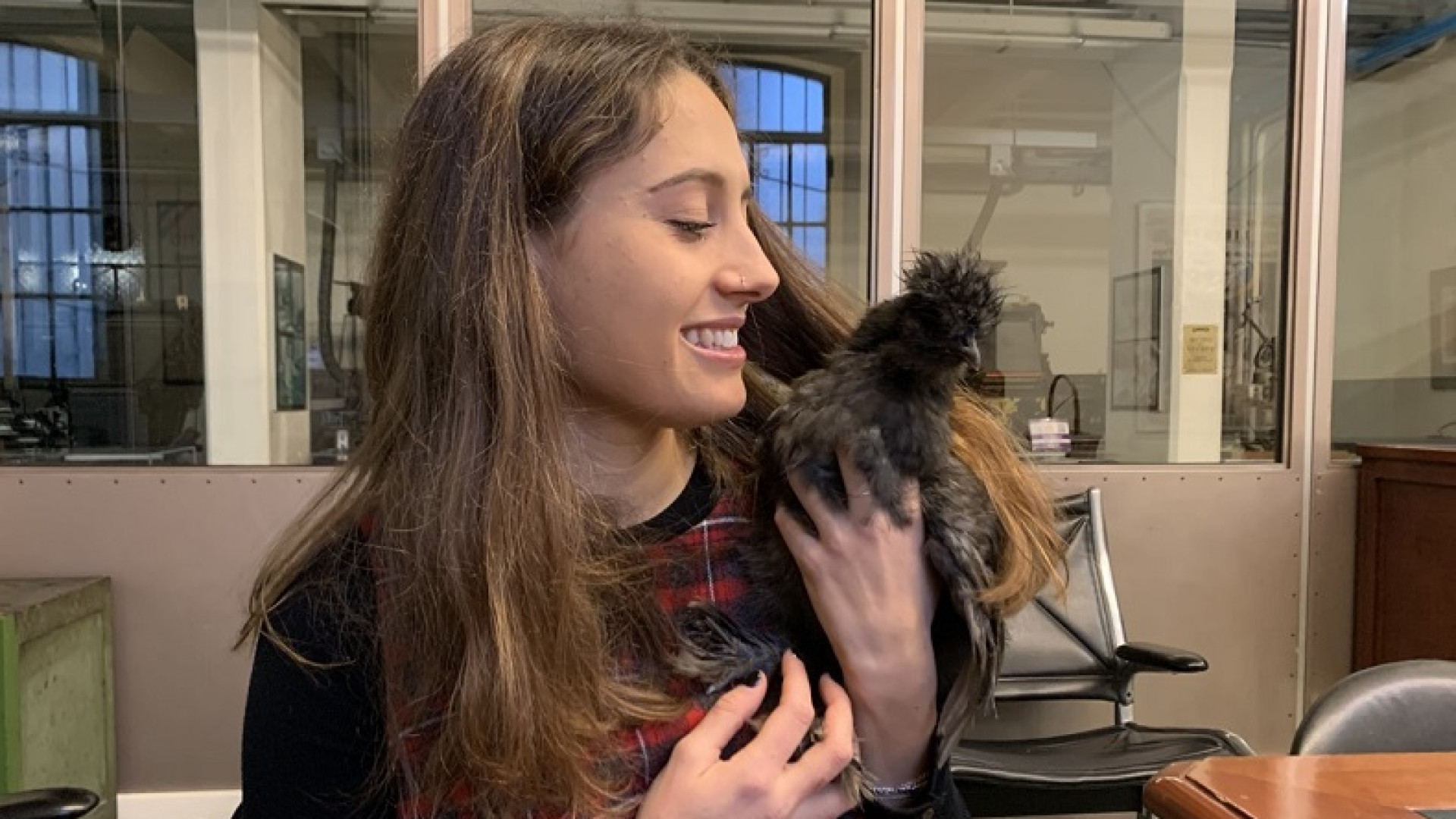 Una gallina per amica: "Vi presento Celestina, il mio animale domestico"