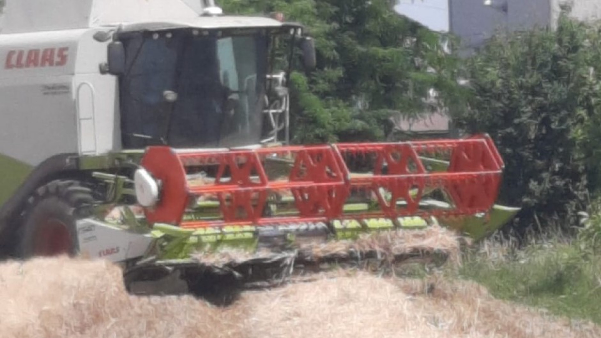 Siccità in Val Nure, colture in stress idrico. Il fine stagione preoccupa gli agricoltori