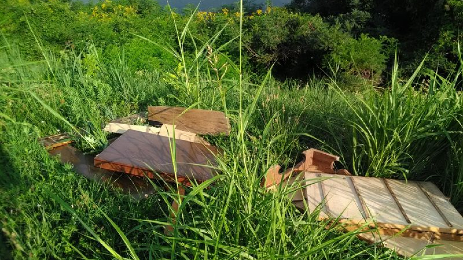 Mobili scaricati nel Chiavenna: 40 agenti ittici passano al setaccio i fiumi