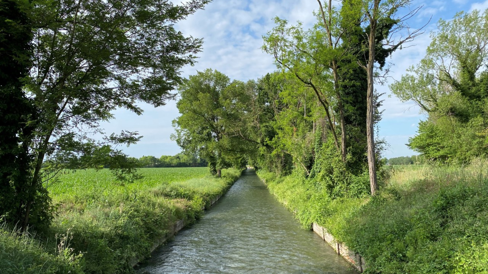 Crisi idrica, Consorzio: "Situazione grave, servono nuovi rilasci dal Brugneto"