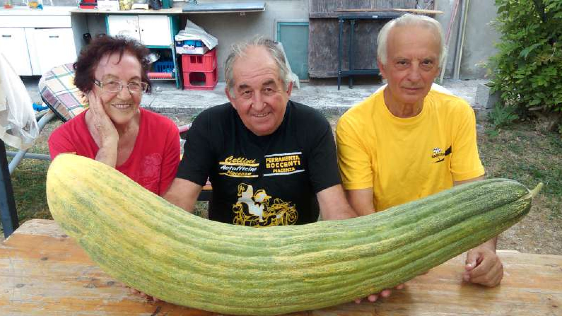 Record mondiale a Piacenza: ecco il cetriolo più lungo e pesante