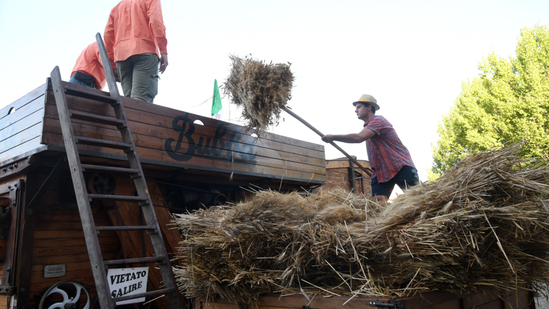 Come cento anni fa: grano tagliato a mano e trebbiato in una Bubba del 1923