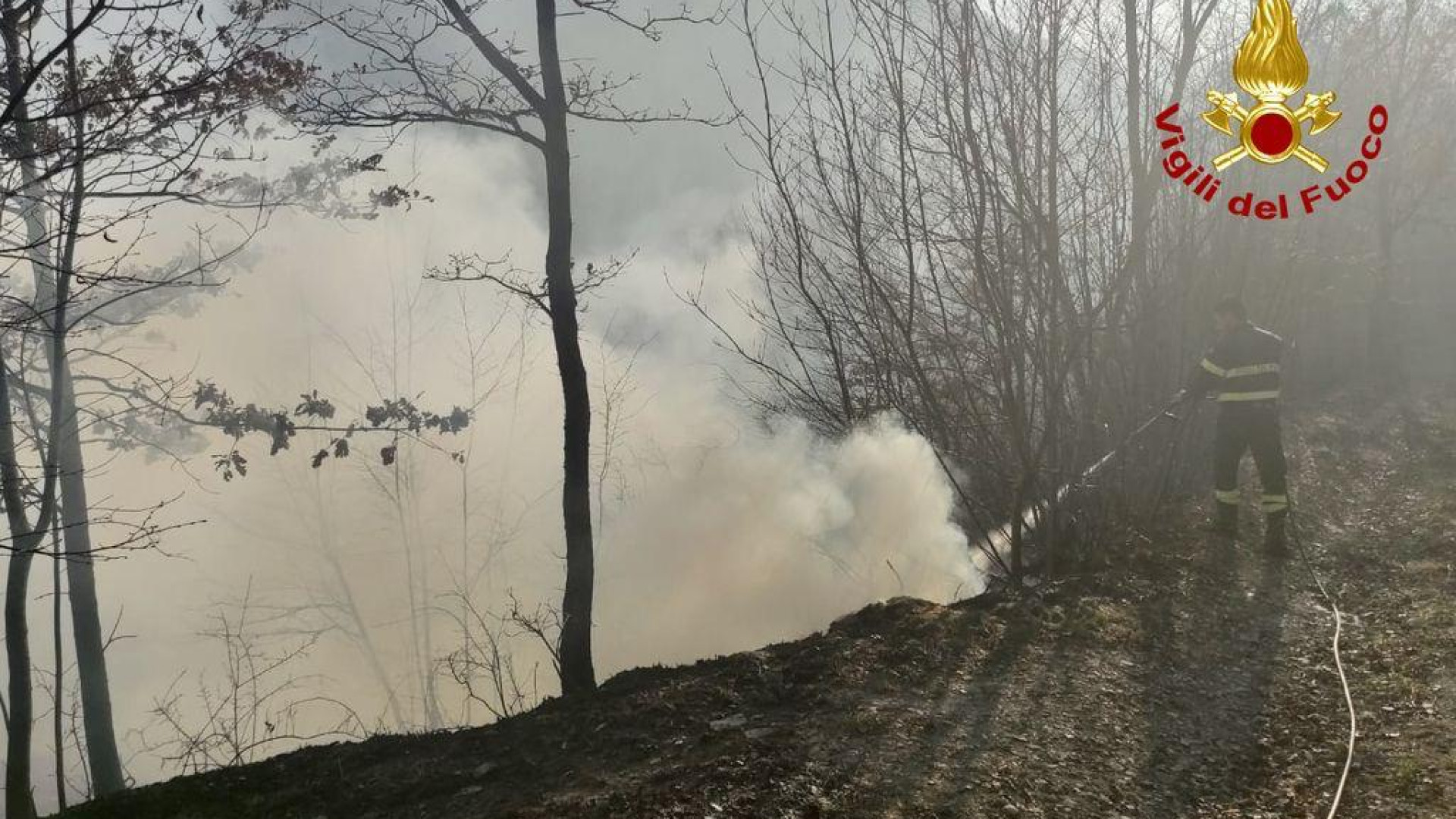 Incendio in un campo e nel sottobosco a Bramaiano di Bettola. Pompieri in azione