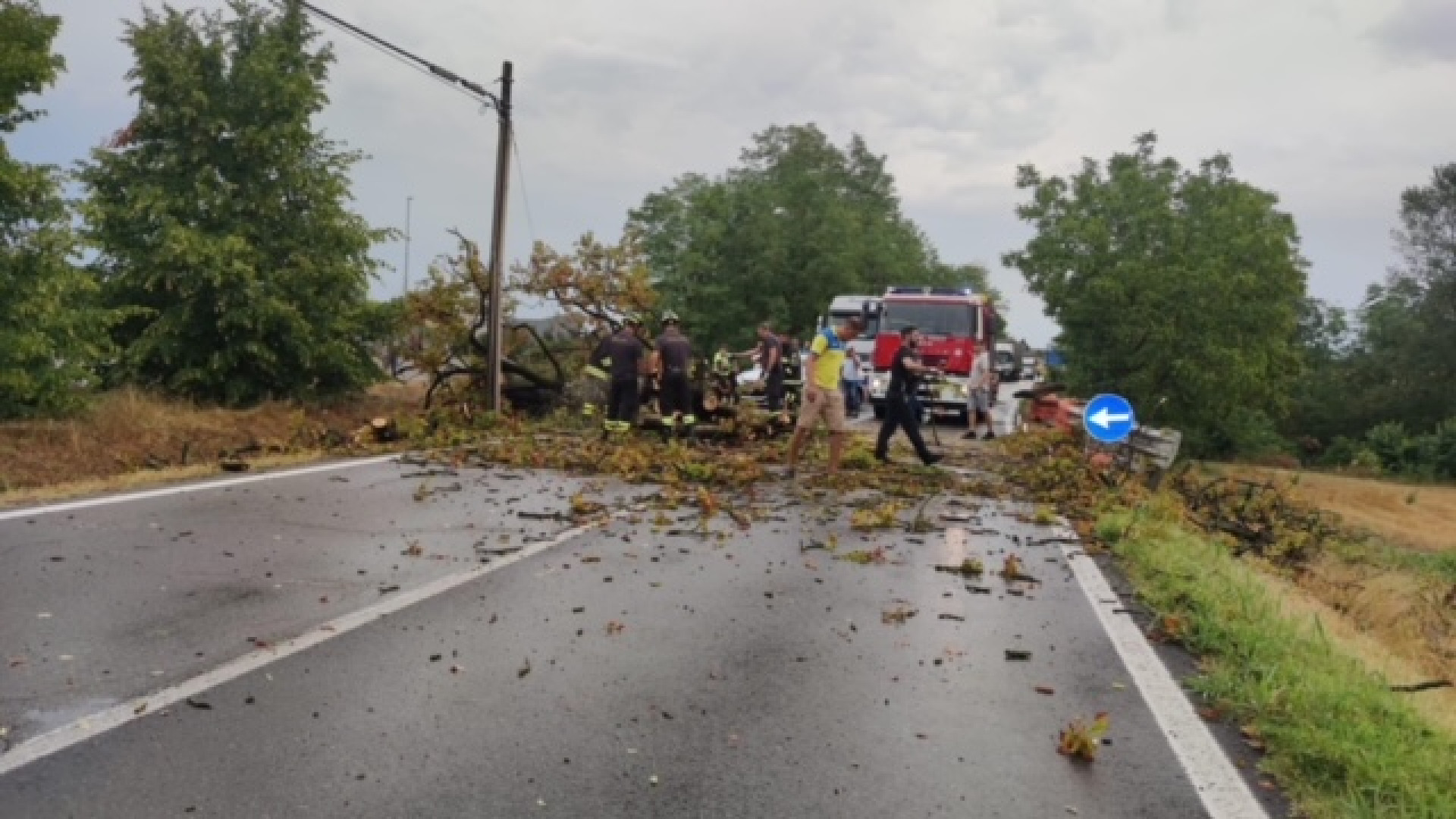 Pioggia, vento e grandine. Strade bloccate e vigili del fuoco in azione in provincia