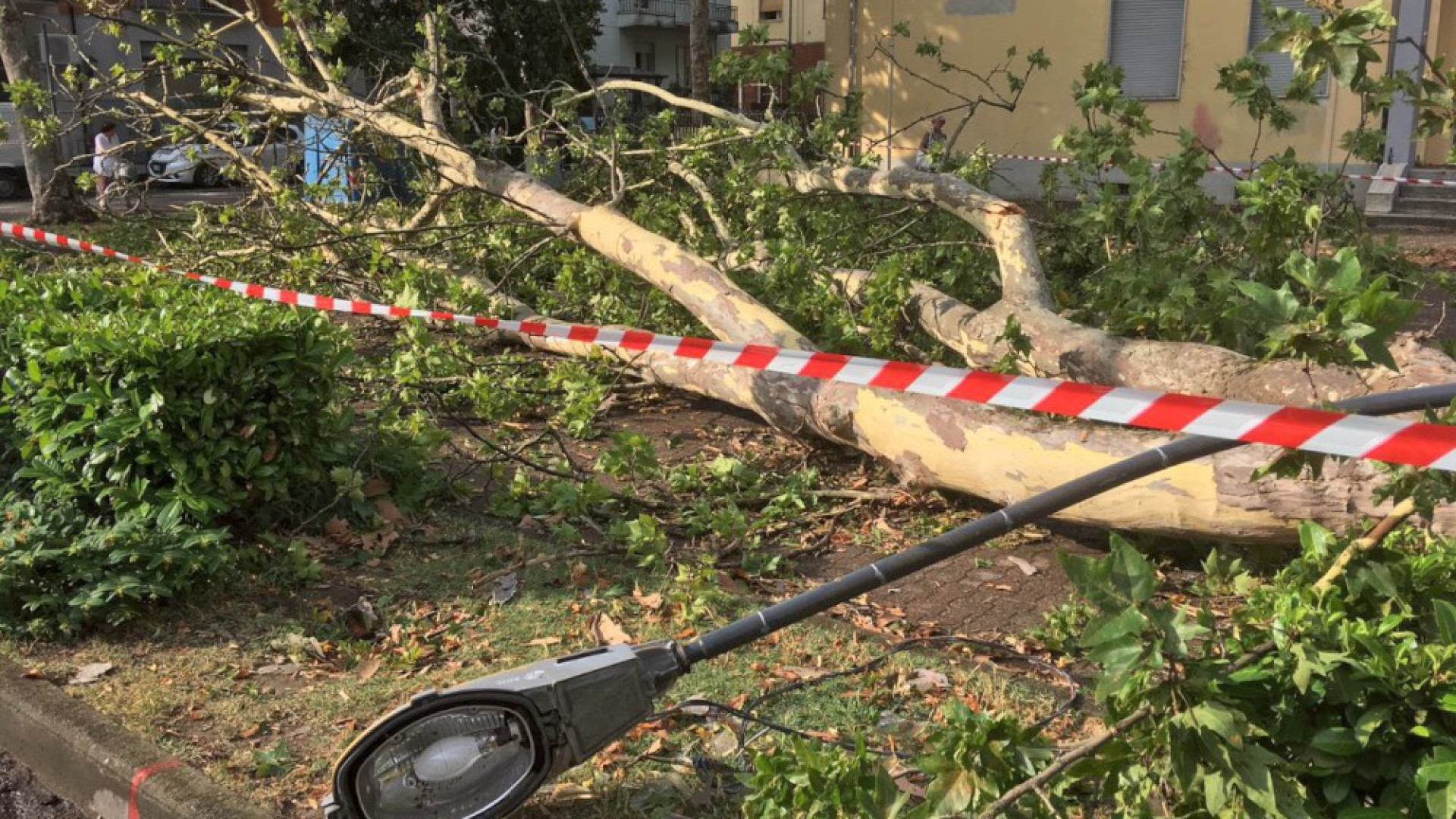 Fiorenzuola si rialza dopo la tromba d'aria, ma il lavoro non è finito