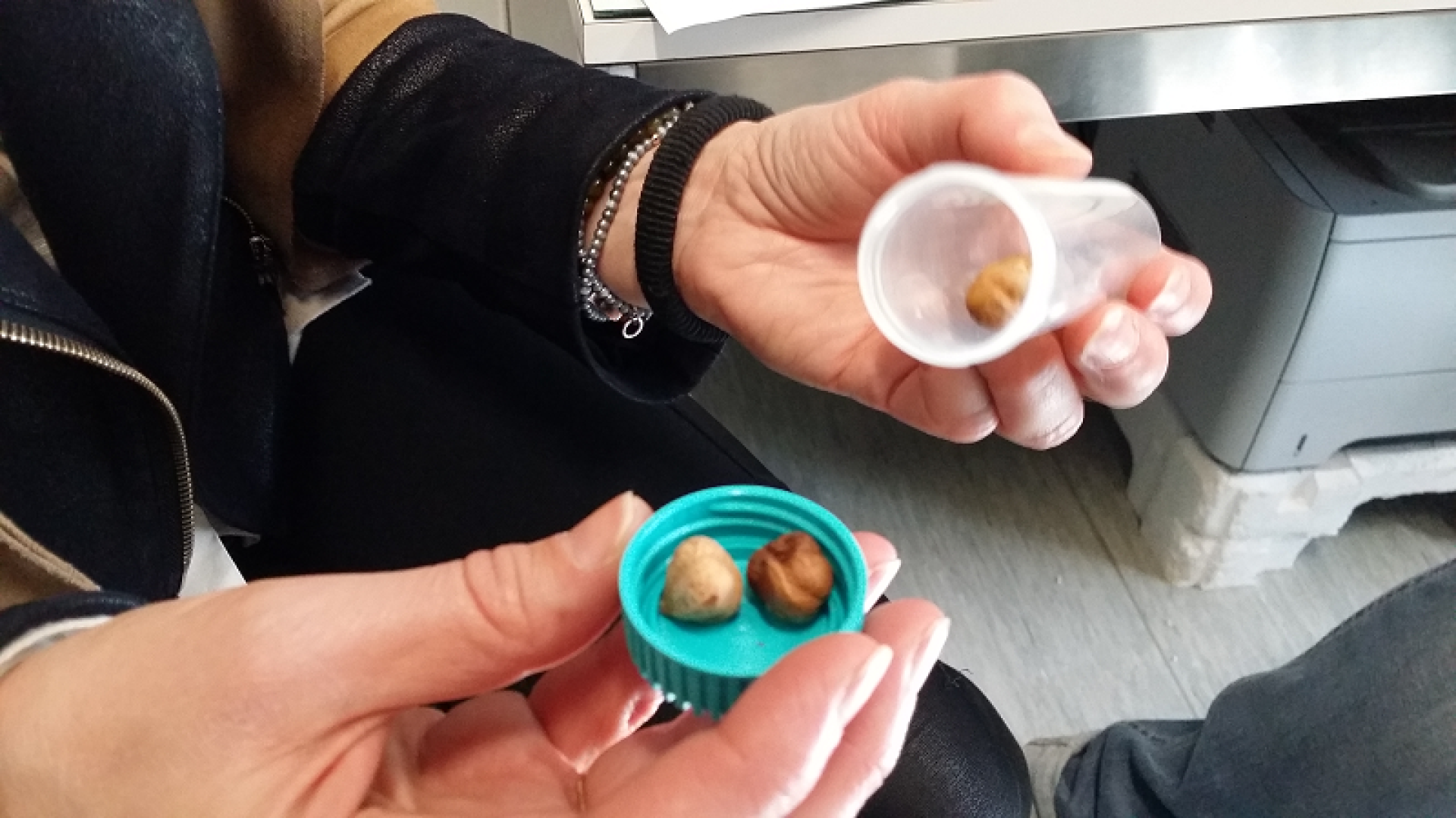 Nocciole: "Cinque al giorno fanno bene a cuore e infiammazioni"