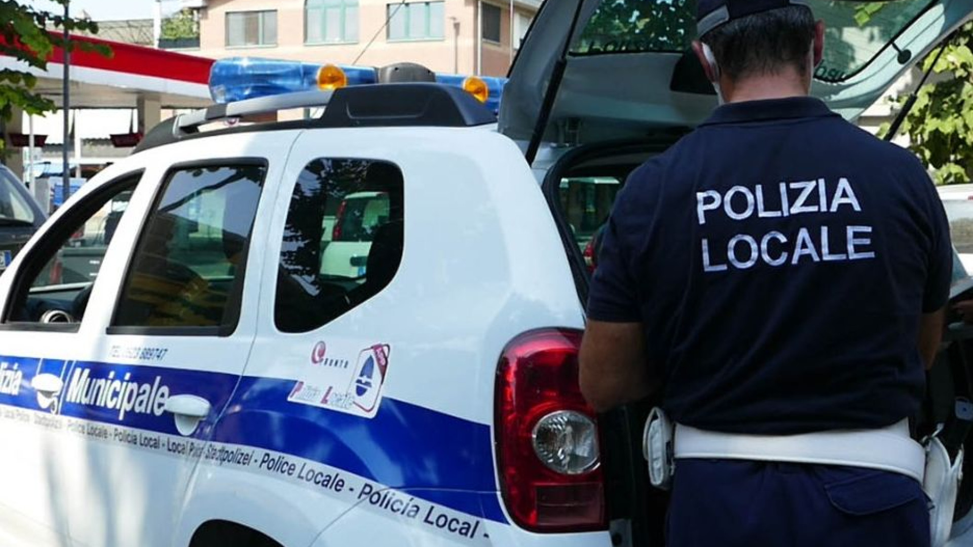 Mortizza, cane azzannato da pitbull è in fin di vita. Interviene la polizia locale