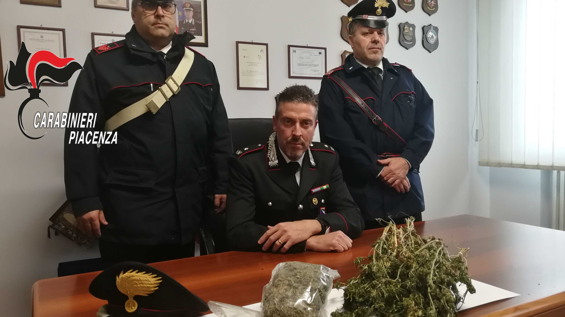 In casa 135 grammi di marijuana e 25 piantine: incensurato in manette