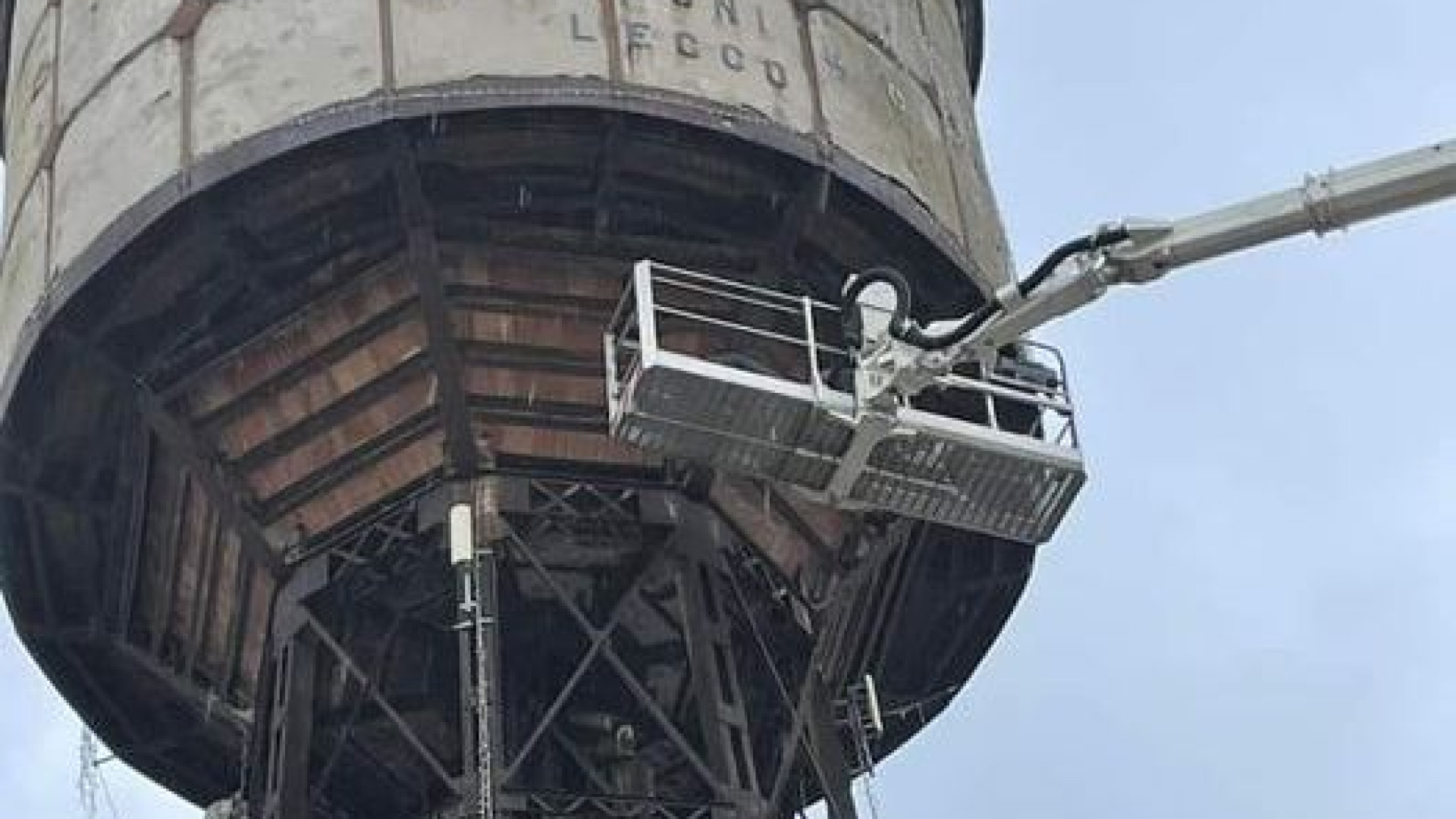 Recuperato il gatto Poldo bloccato da una settimana sul vascone dell'acqua