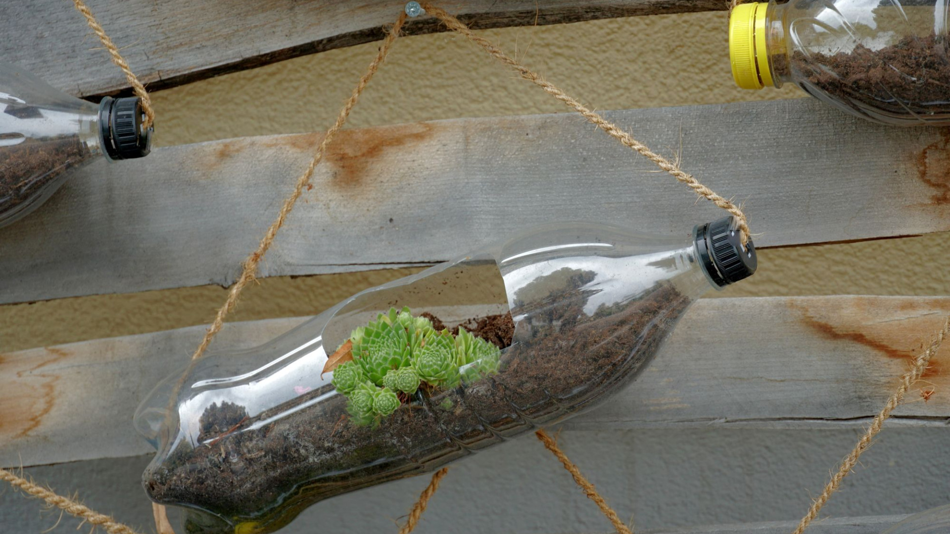 Le nuove parole della sostenibilità: dal naked packaging all’upcycling