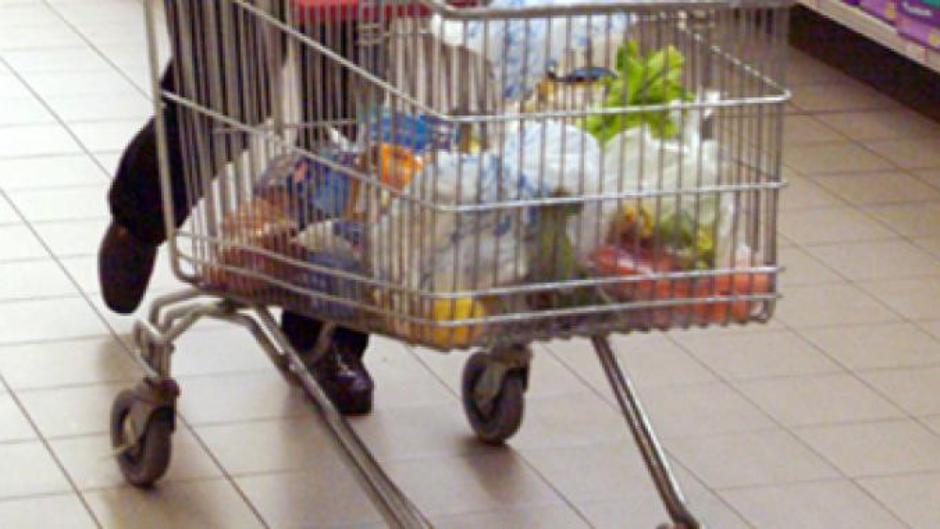 Raffica di furti di tonno in scatola: banda in azione |in un market di viale Dante
