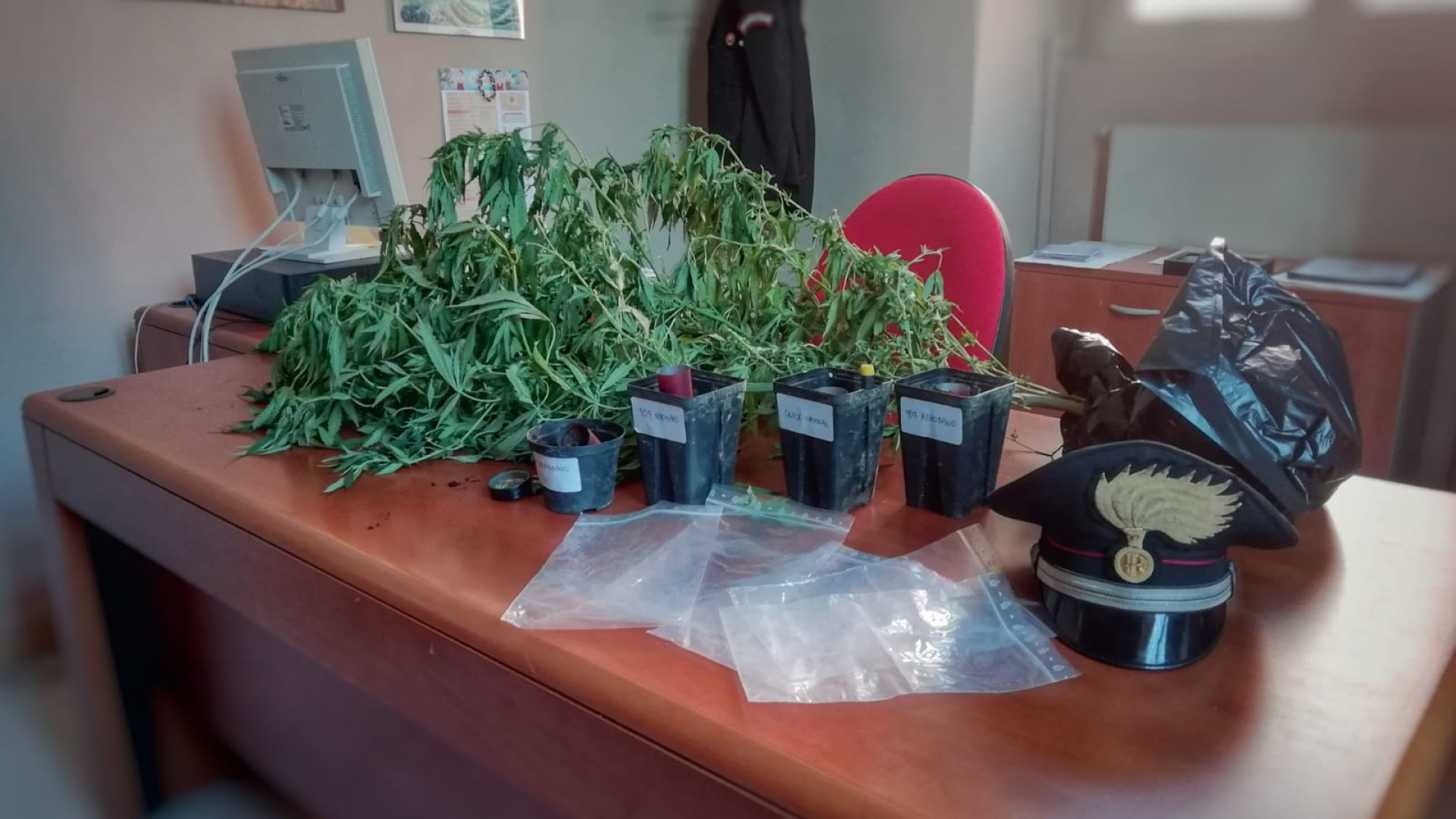 Colto in flagrante mentre innaffia la marijuana: 19enne denunciato