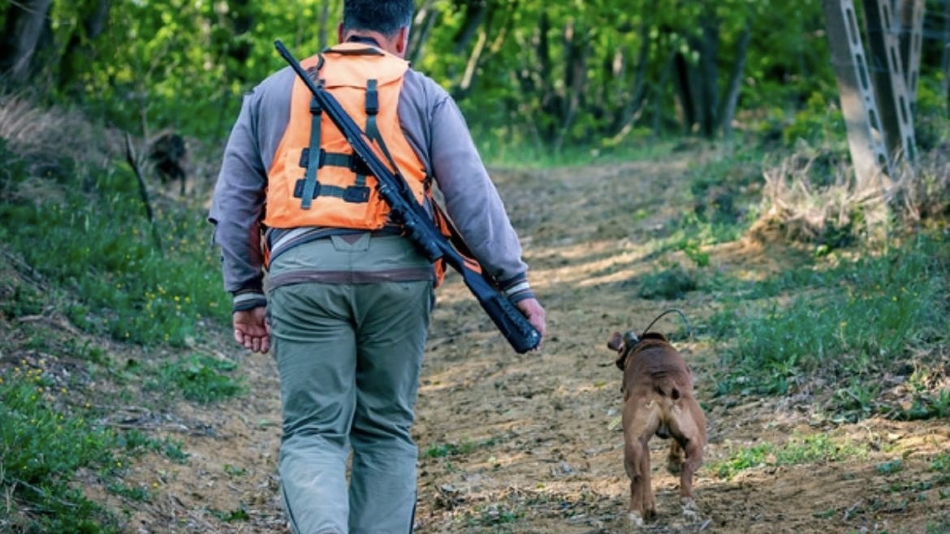 Val d’Arda: le squadre di caccia collettiva e braccata chiedono risposte