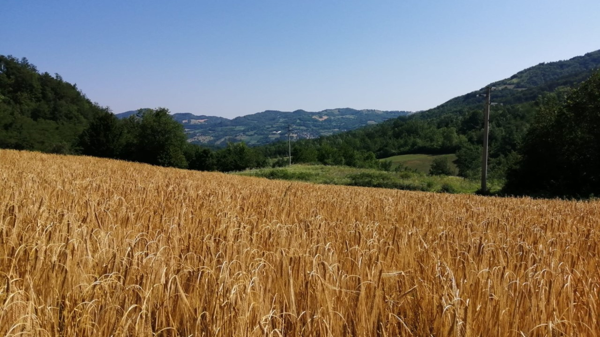 Azienda agricola di Pecorara diventa modello da esportare in Olanda