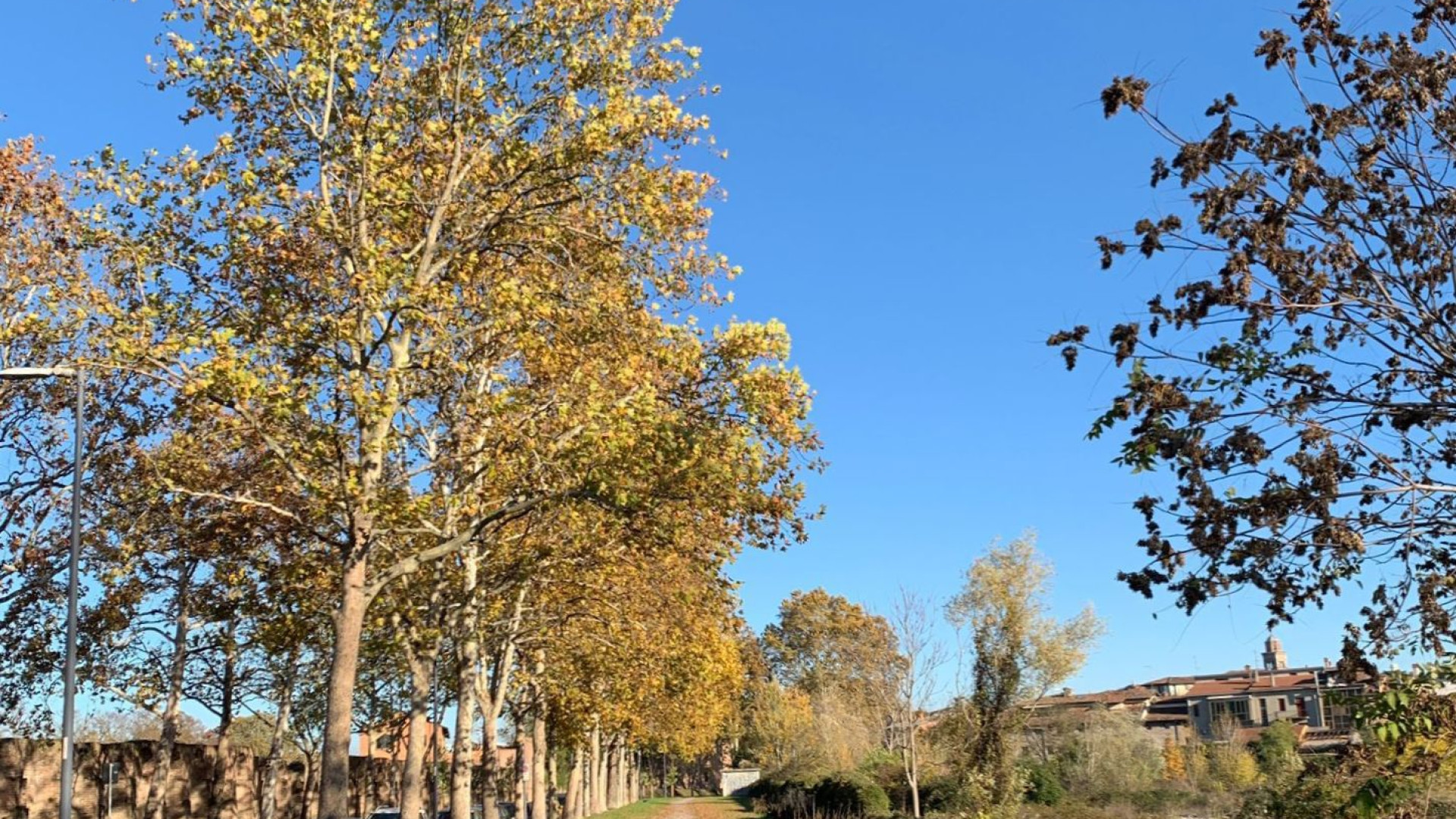Arriva l’anticiclone sub-tropicale, termometro a 15°C. "E' la lenta fine dell'inverno"