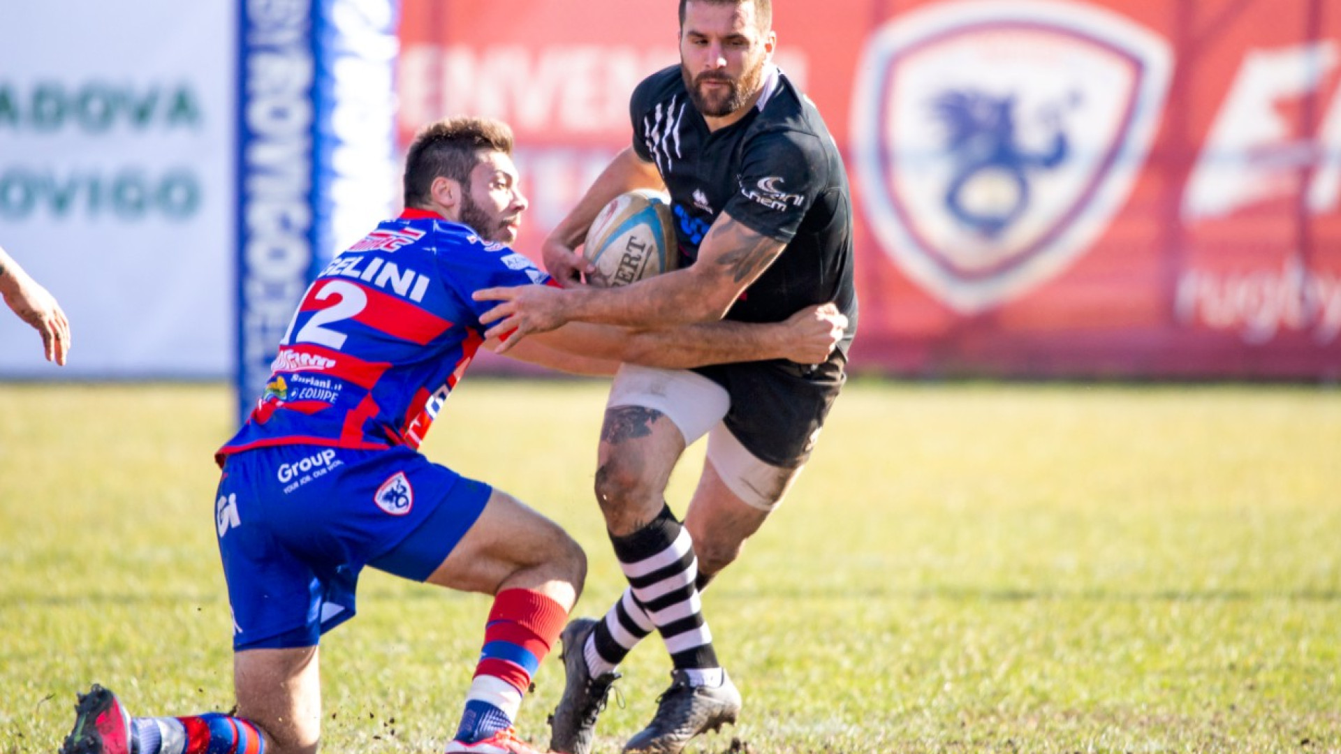 Troppo forte la capolista Rovigo: i Lyons si arrendono con onore FOTO