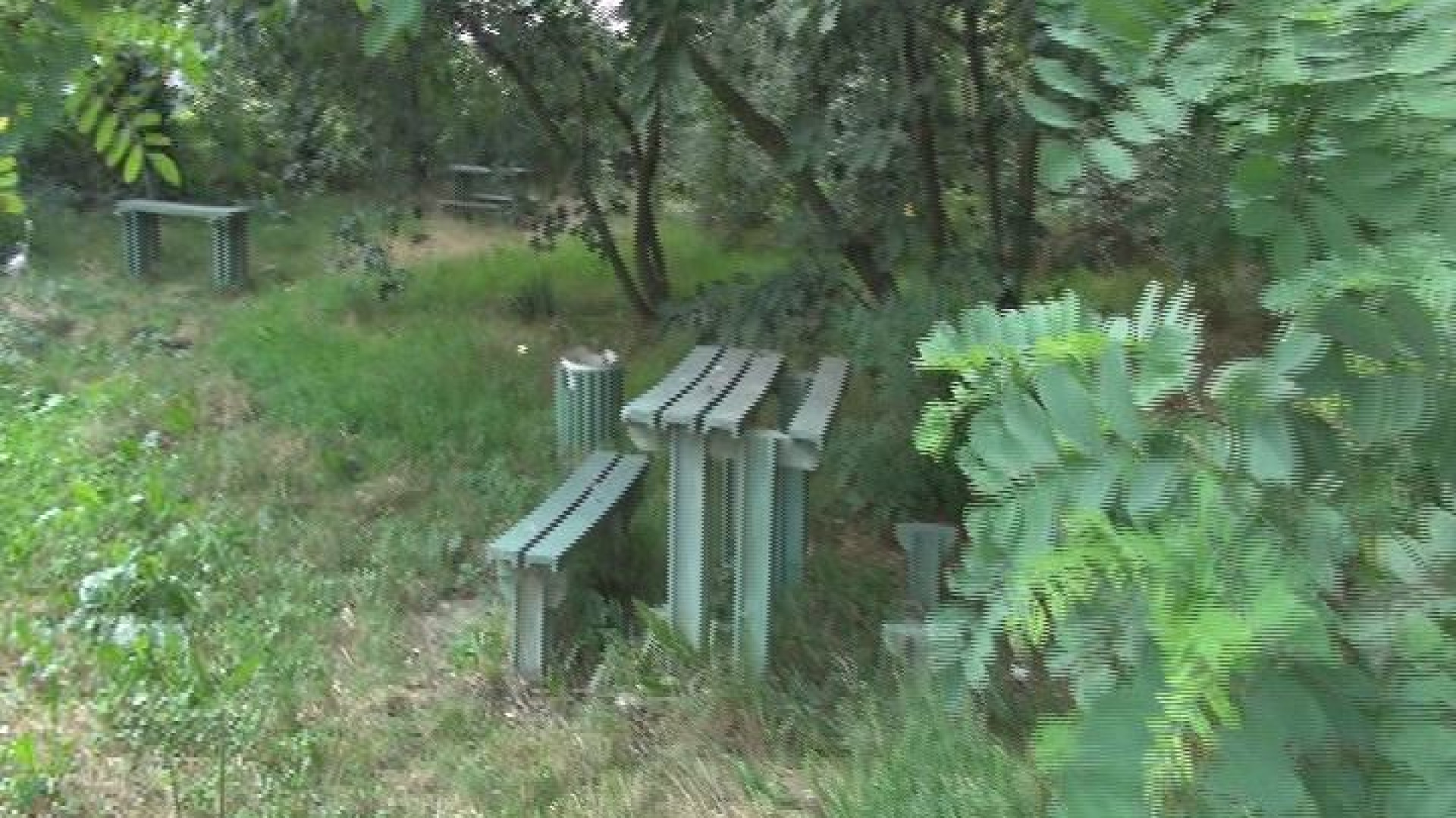 Argine del Trebbia: l'area di sosta sepolta dalla vegetazione nel degrado