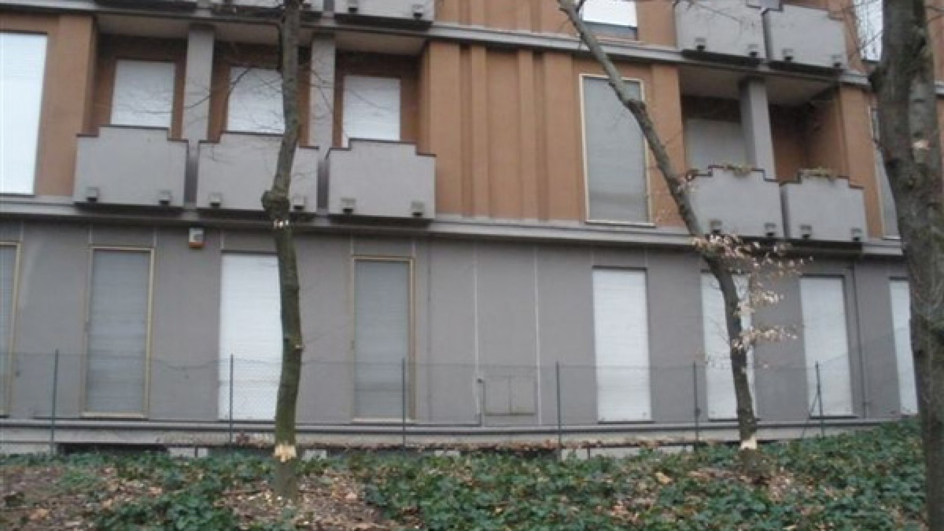 Atti di vandalismo a due alberi del giardino di via Santa Franca