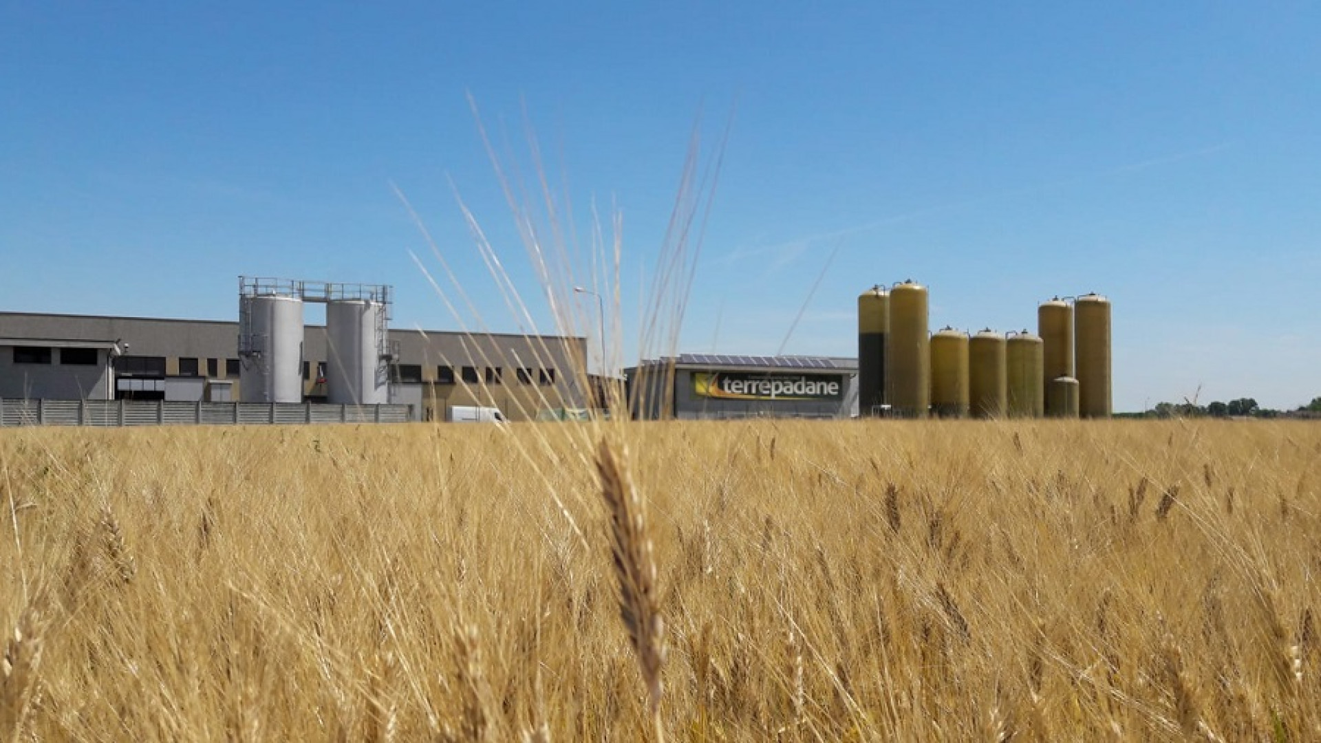 Agricoltura sostenibile dalla concimazione alla nutrizione