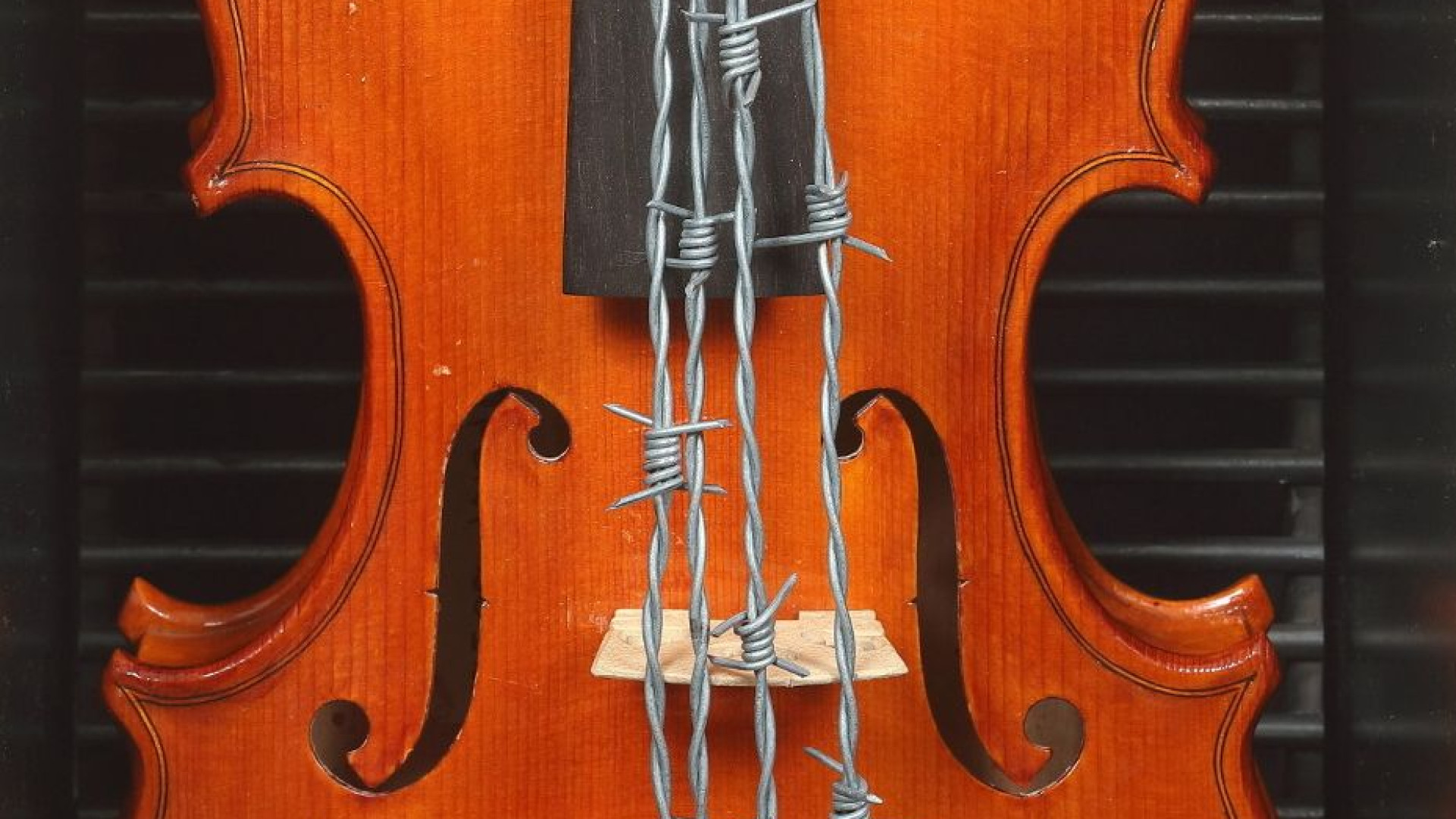 Il violino con il filo spinato di Kounellis simbolo degli eventi all'Alberoni