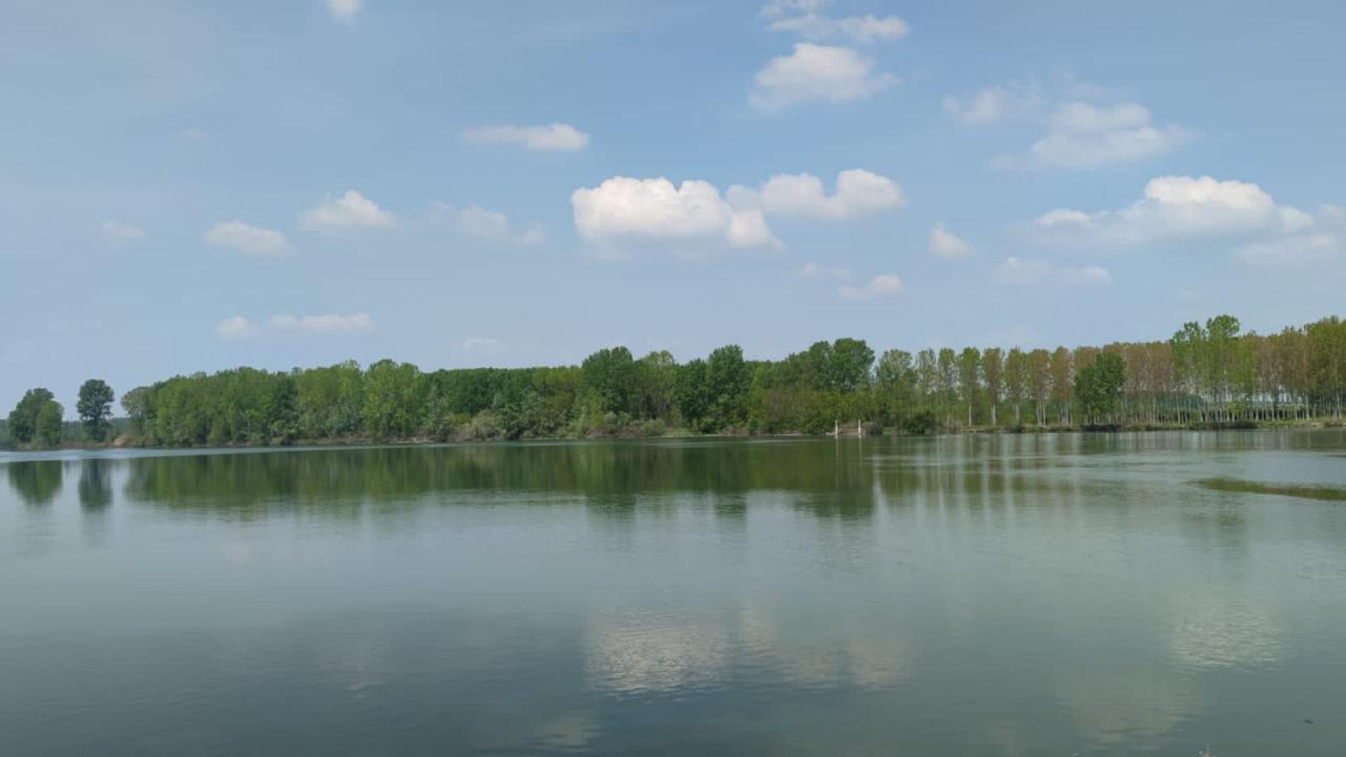 Finì con l'auto nel Po e riuscì a salvarsi:  a processo per guida in stato di ebbrezza