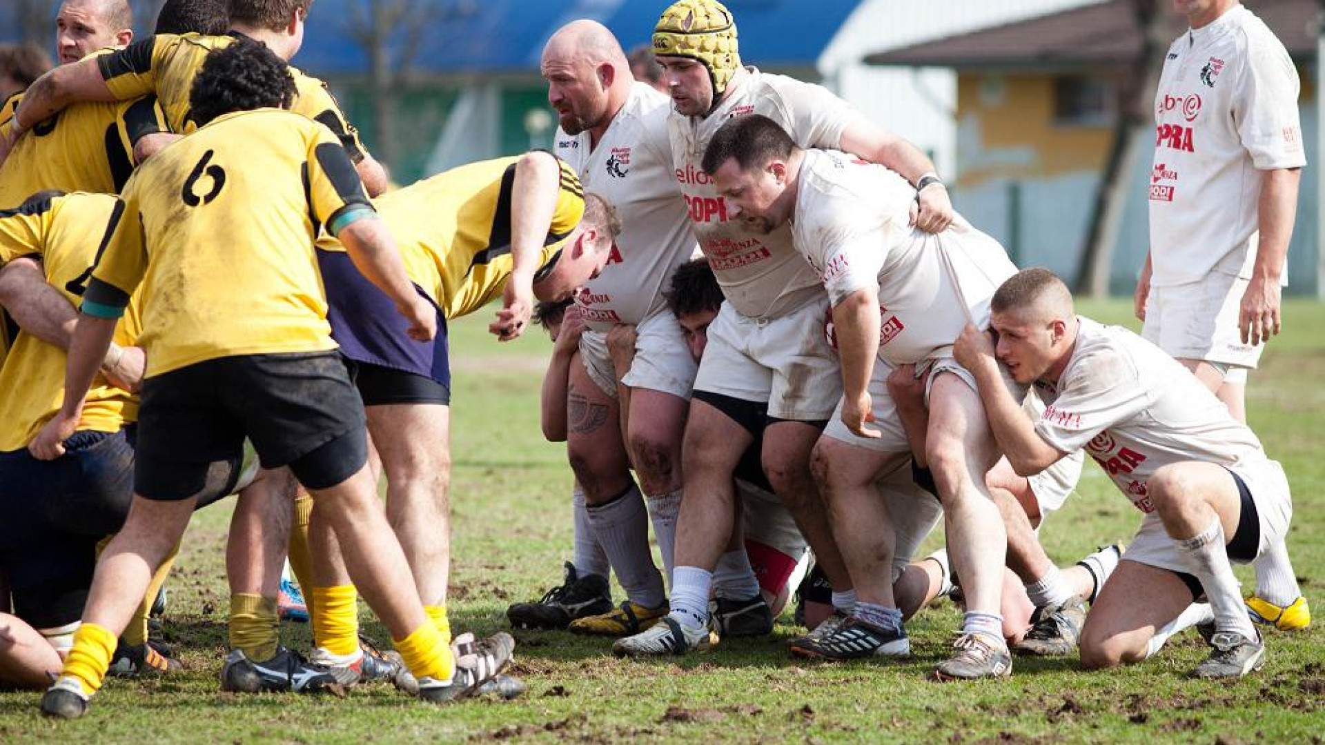 Rugby serie B, il Piacenza batte l'Unione Tirreno