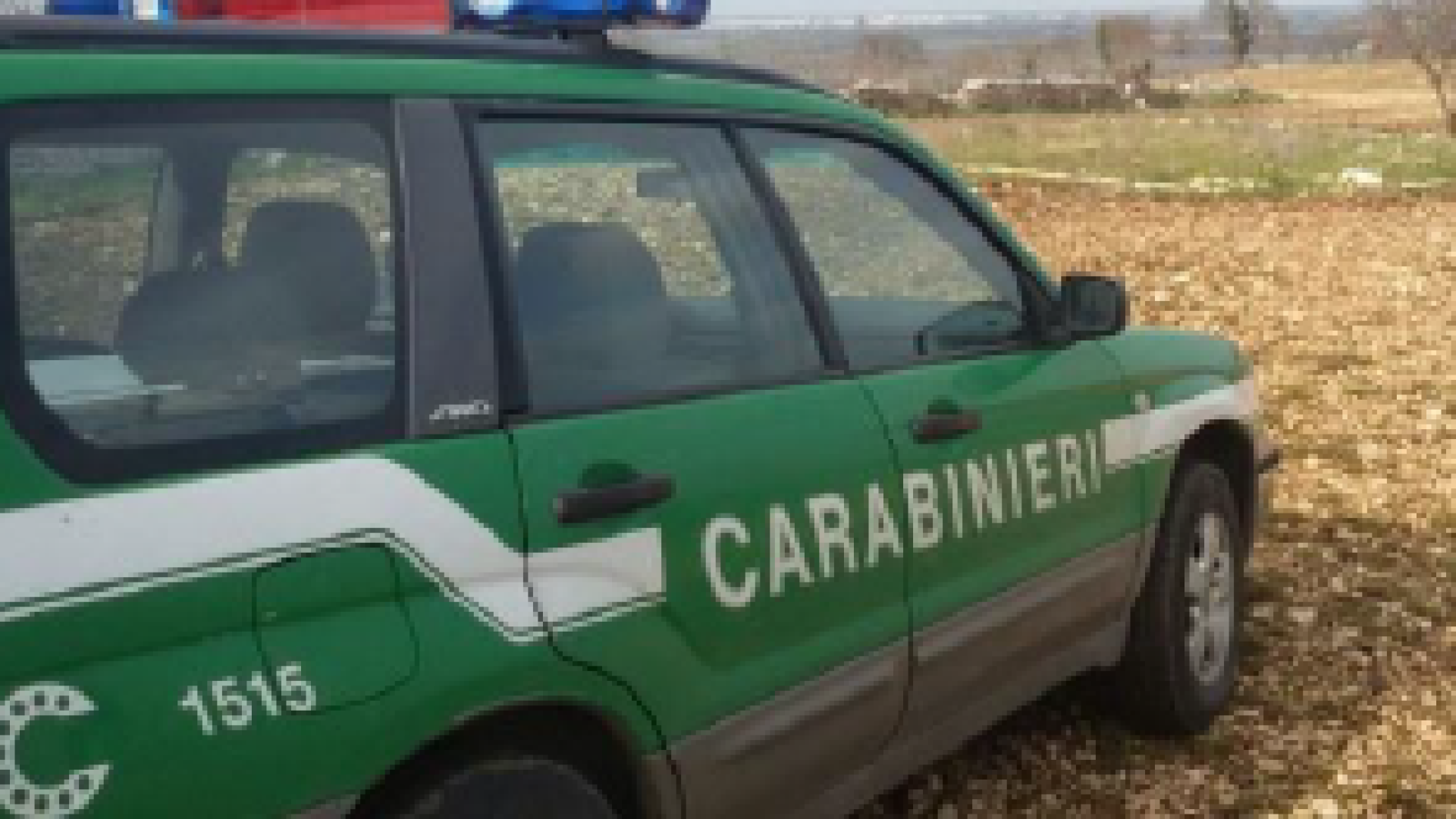 Occupati abusivamente 40 ettari di terreni demaniali, nove aziende agricole multate
