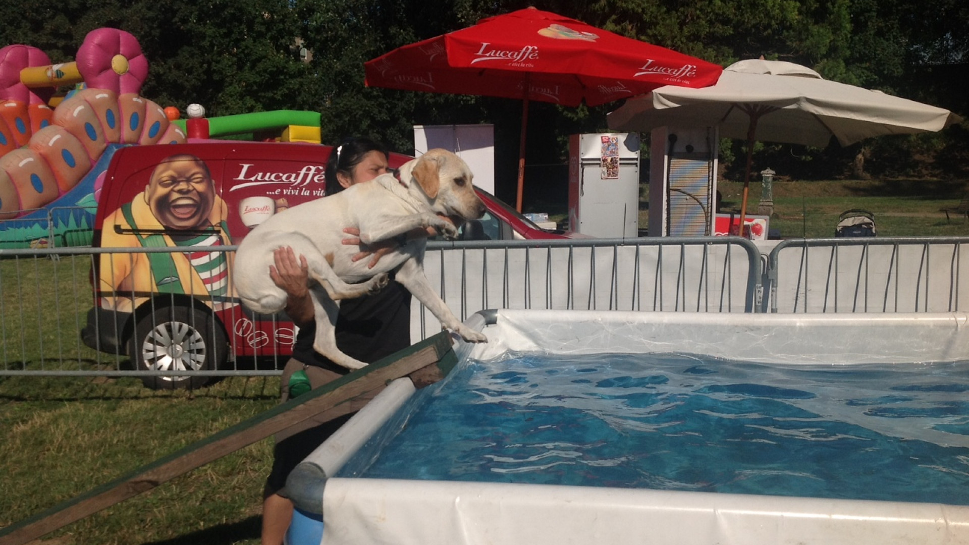 Al Daturi protagonisti i cani. "Compagni di vita, non li abbandonate"